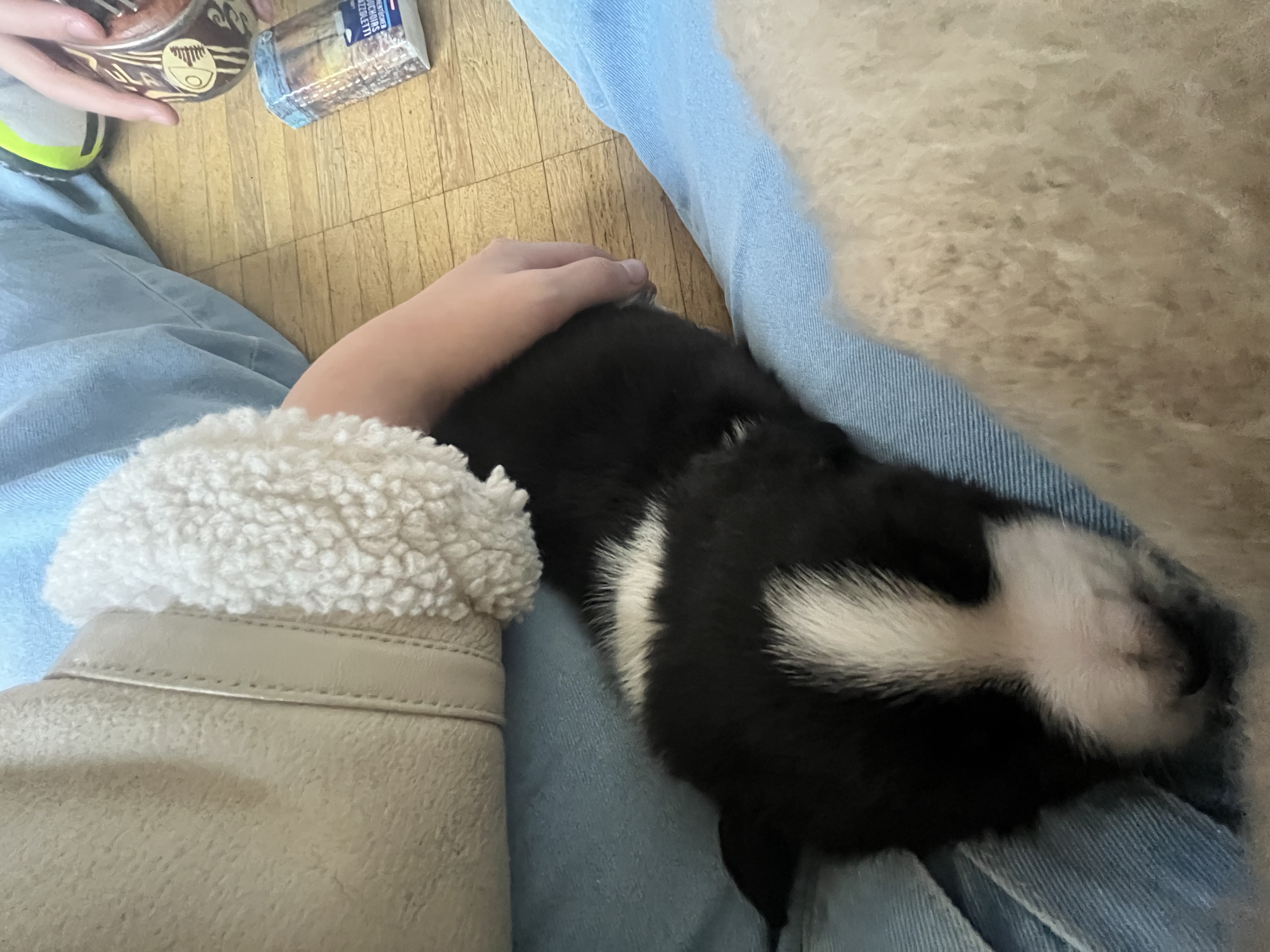 image-11