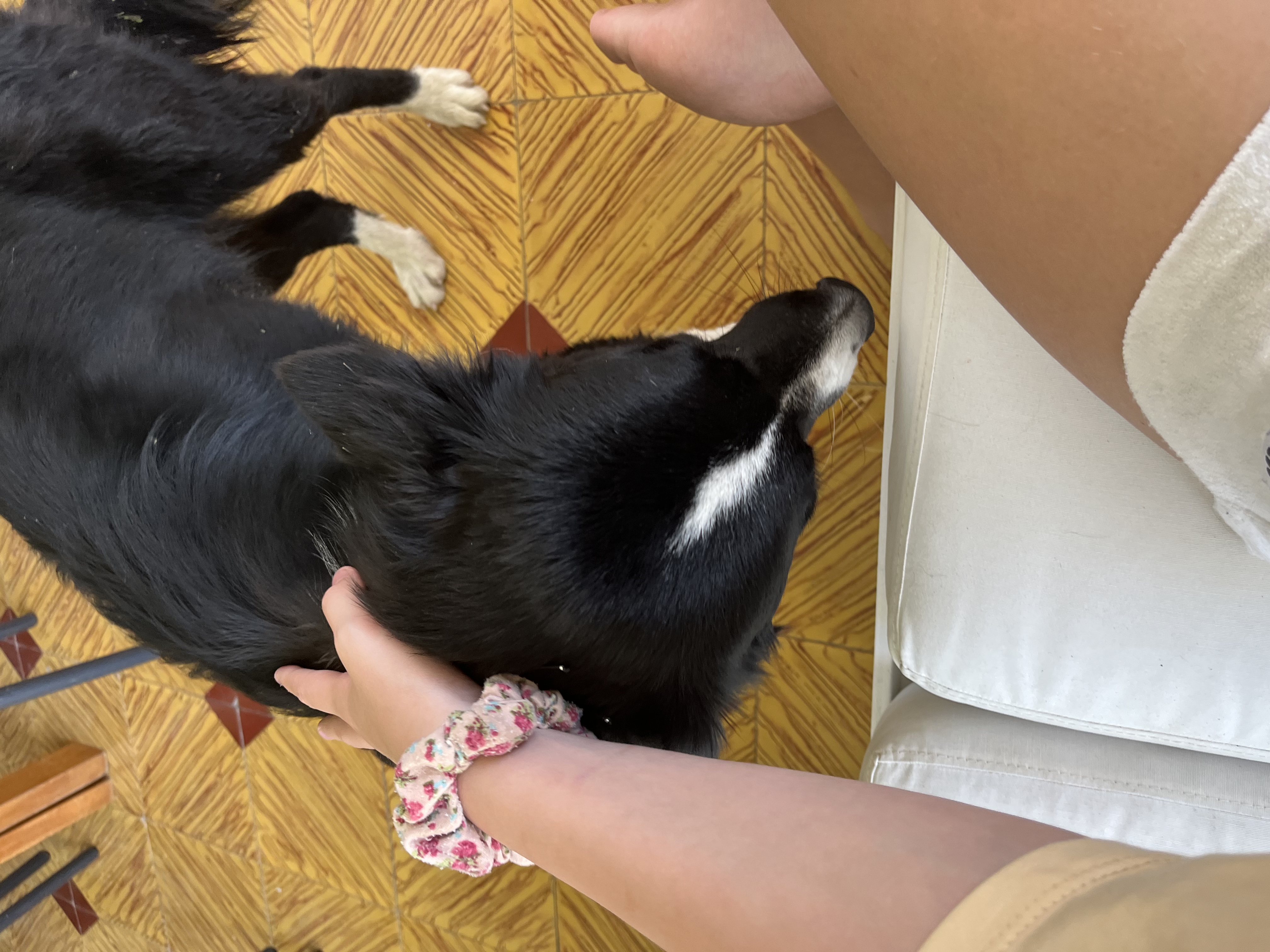 image-14