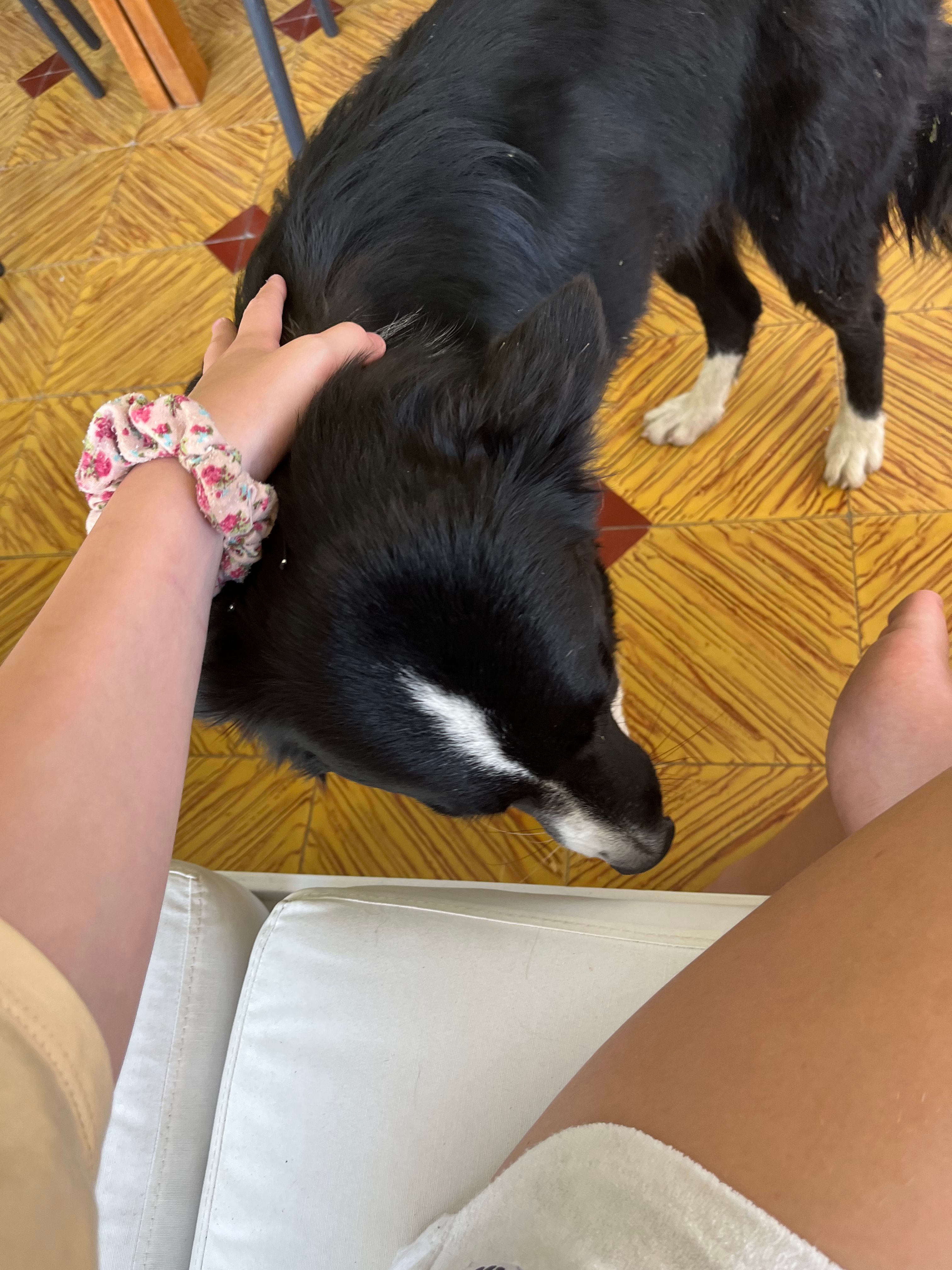 image-14