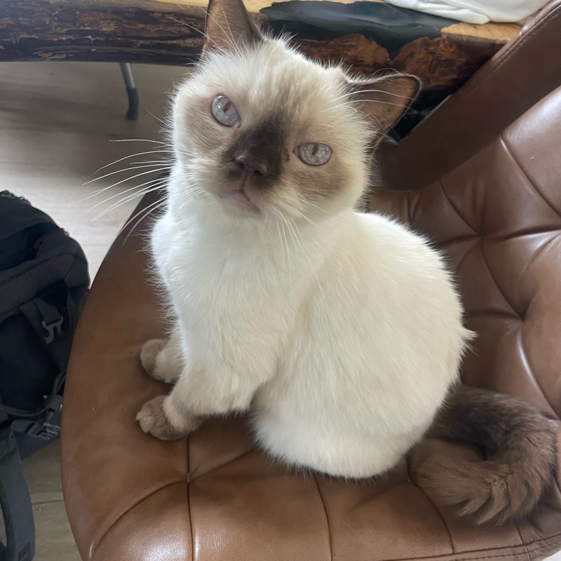 Nina