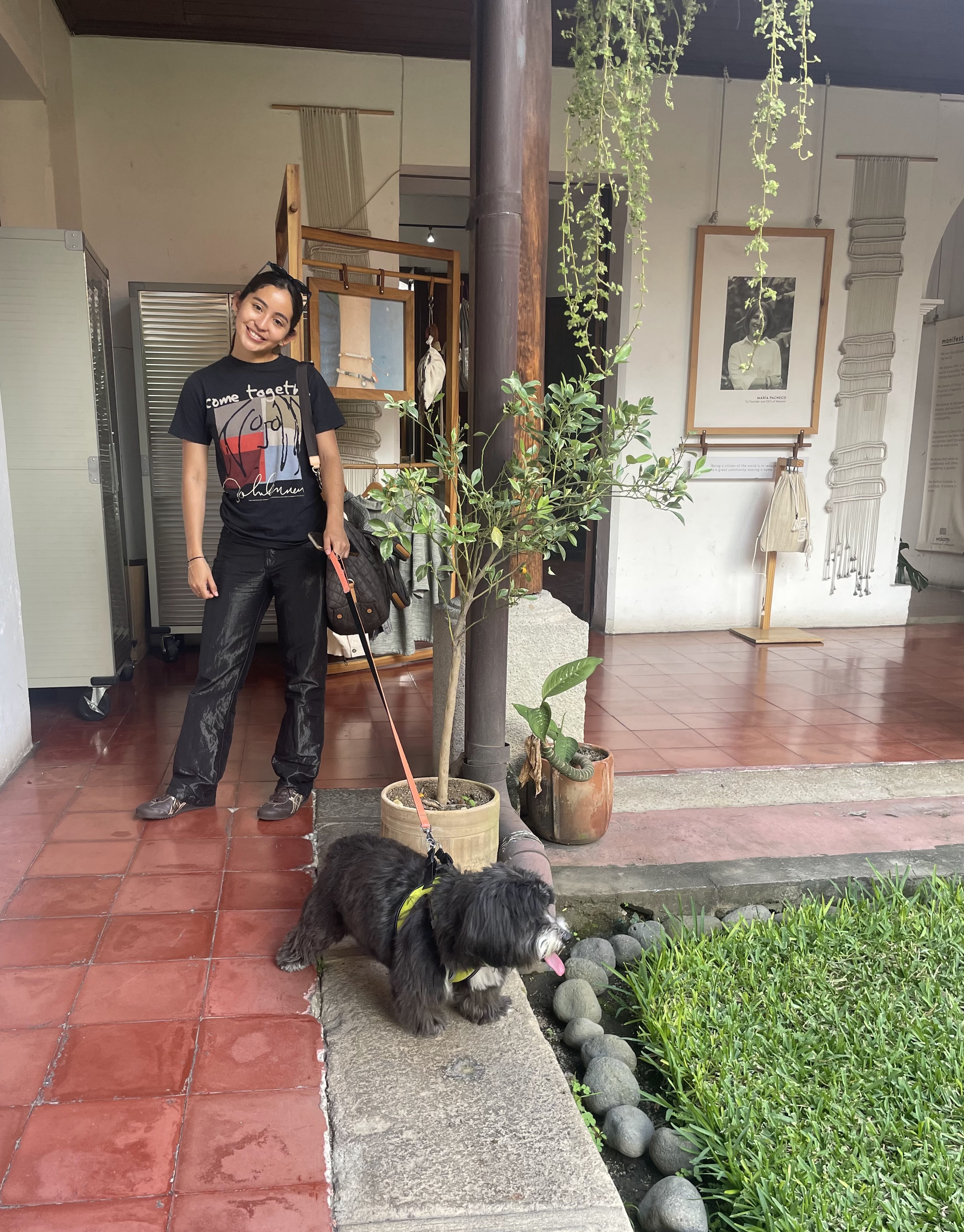 image-8