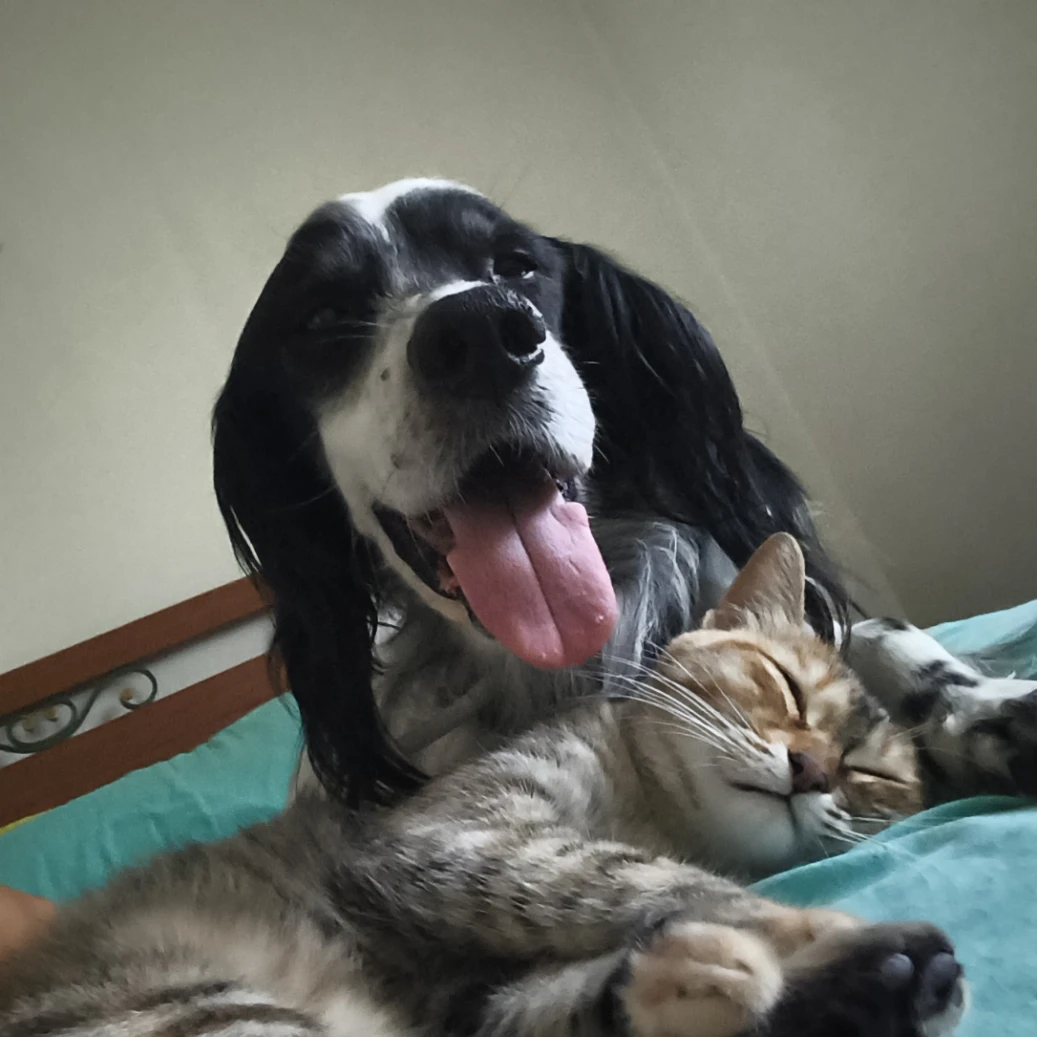 Marley 