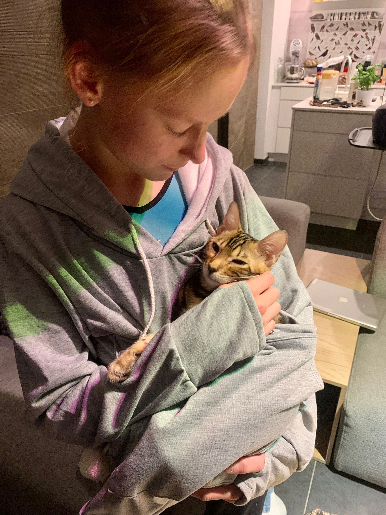 image-6