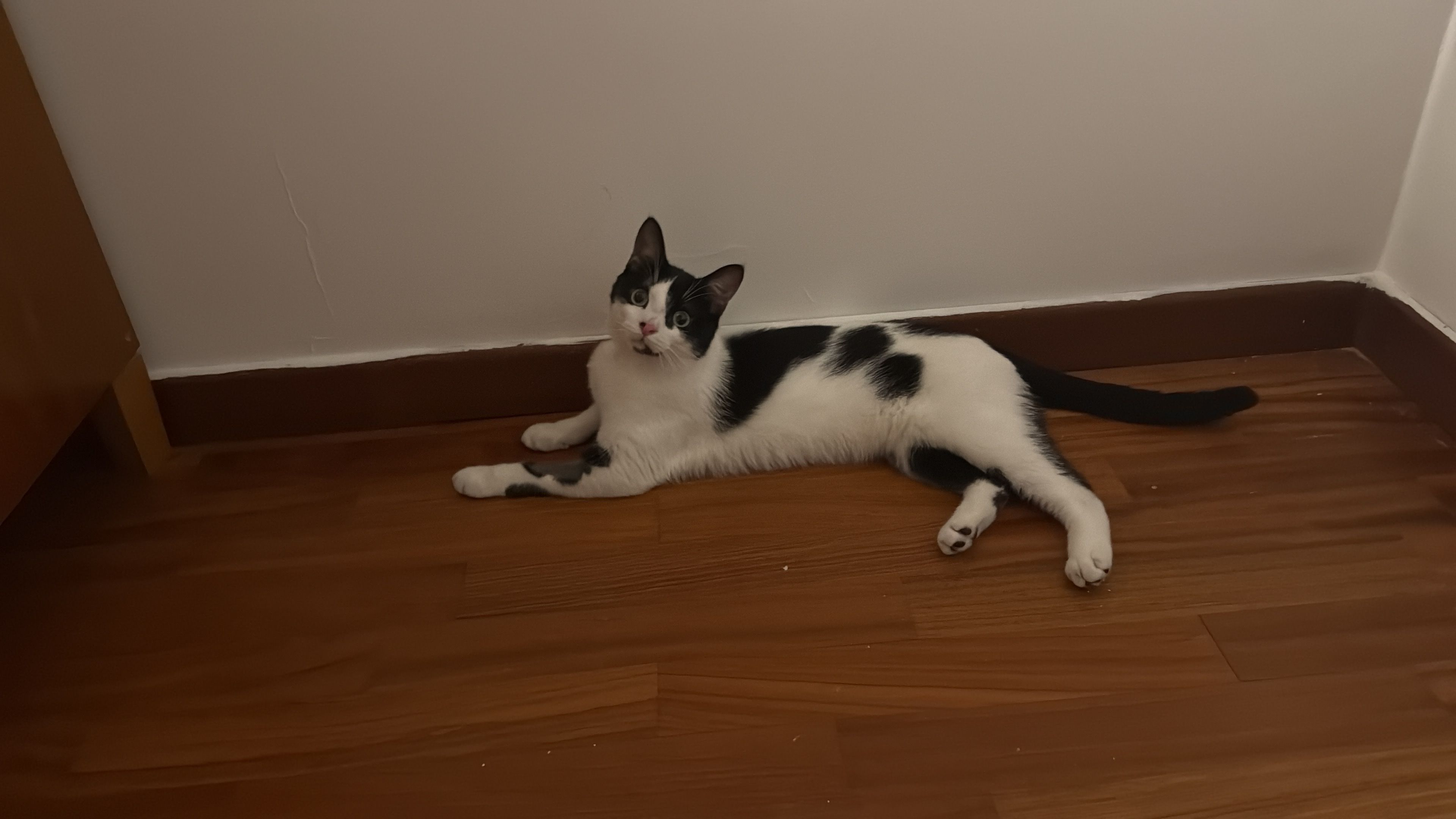 image-11