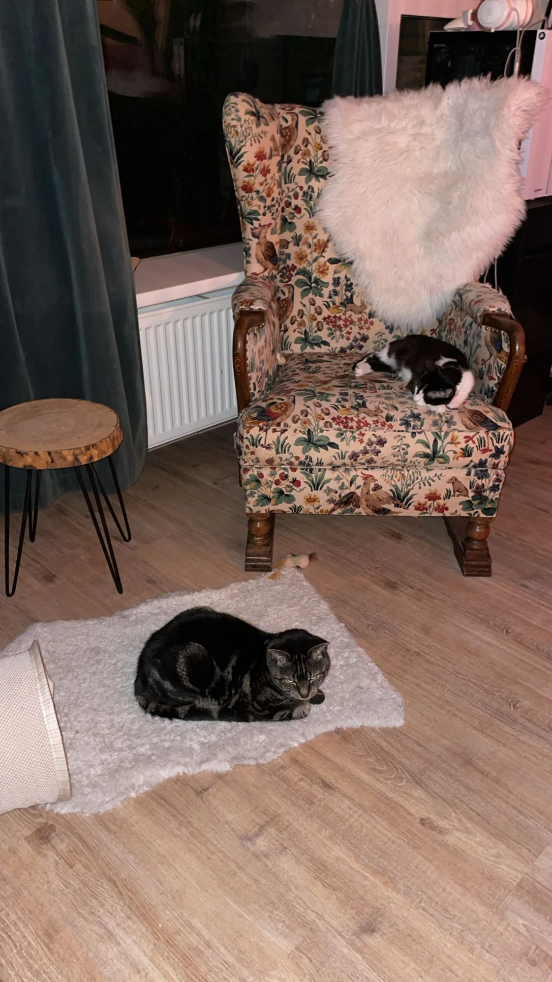 image-12