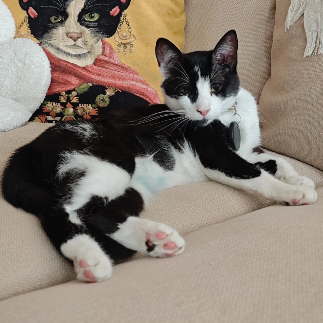 Soraya