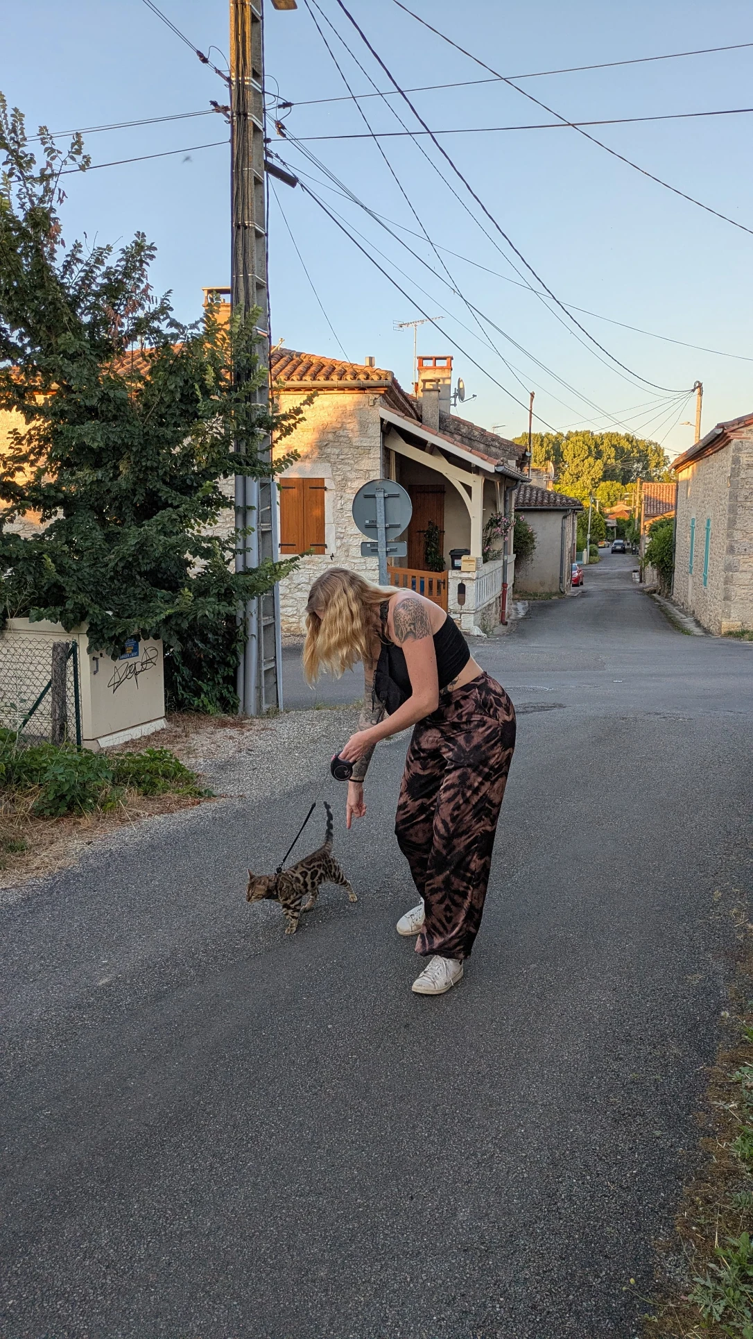 image-10