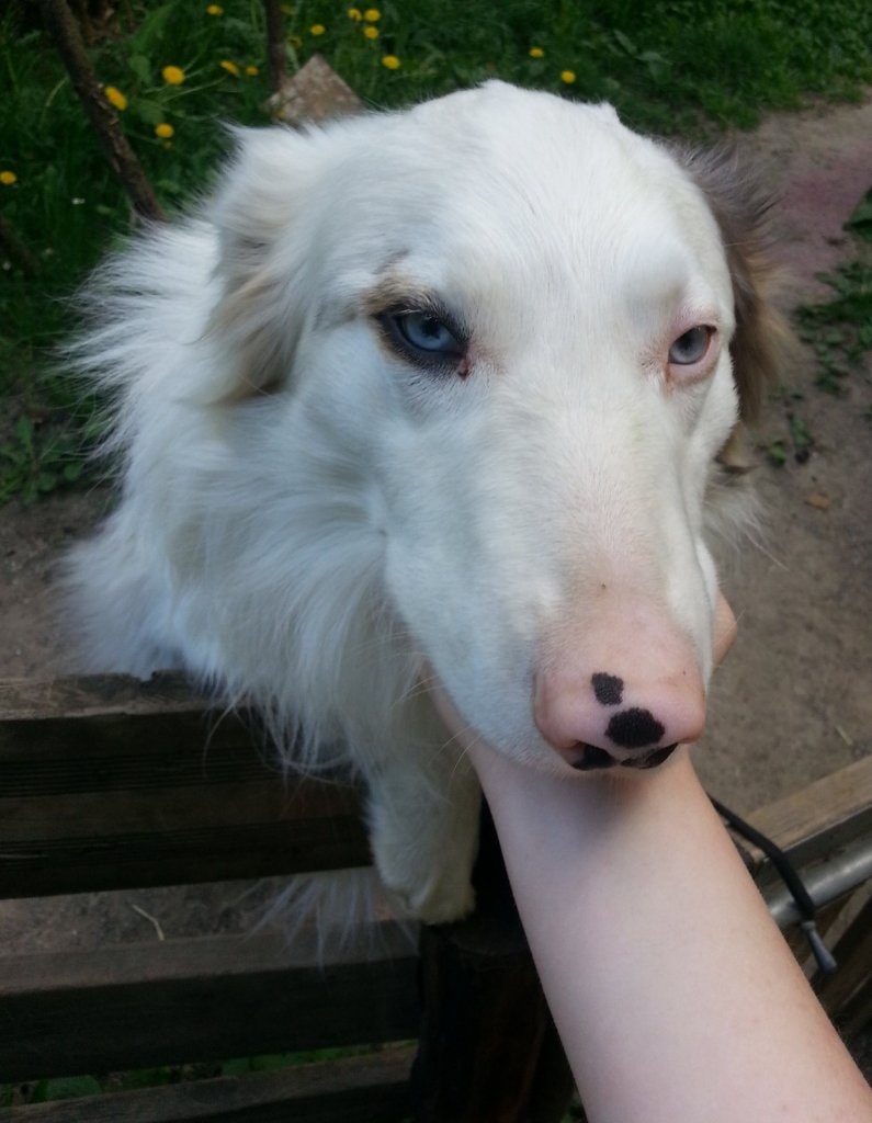 image-6