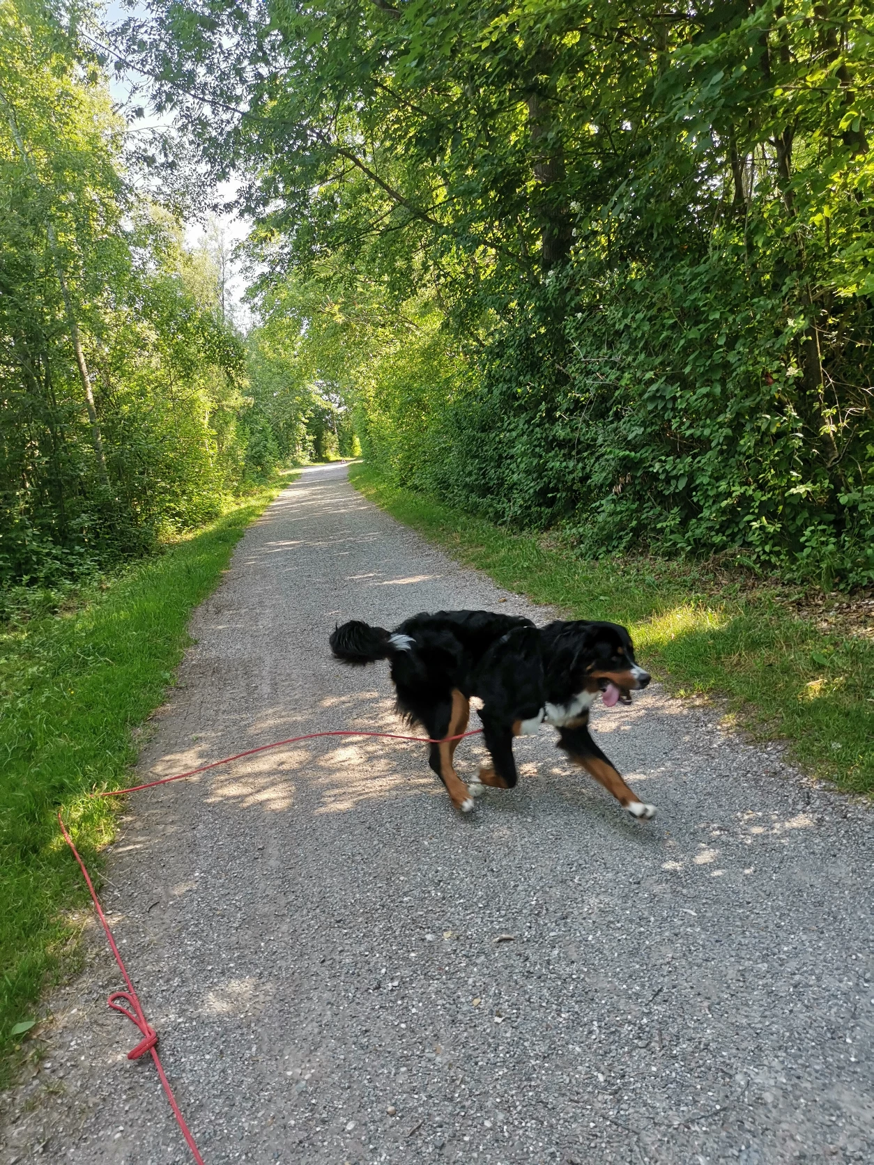 image-16