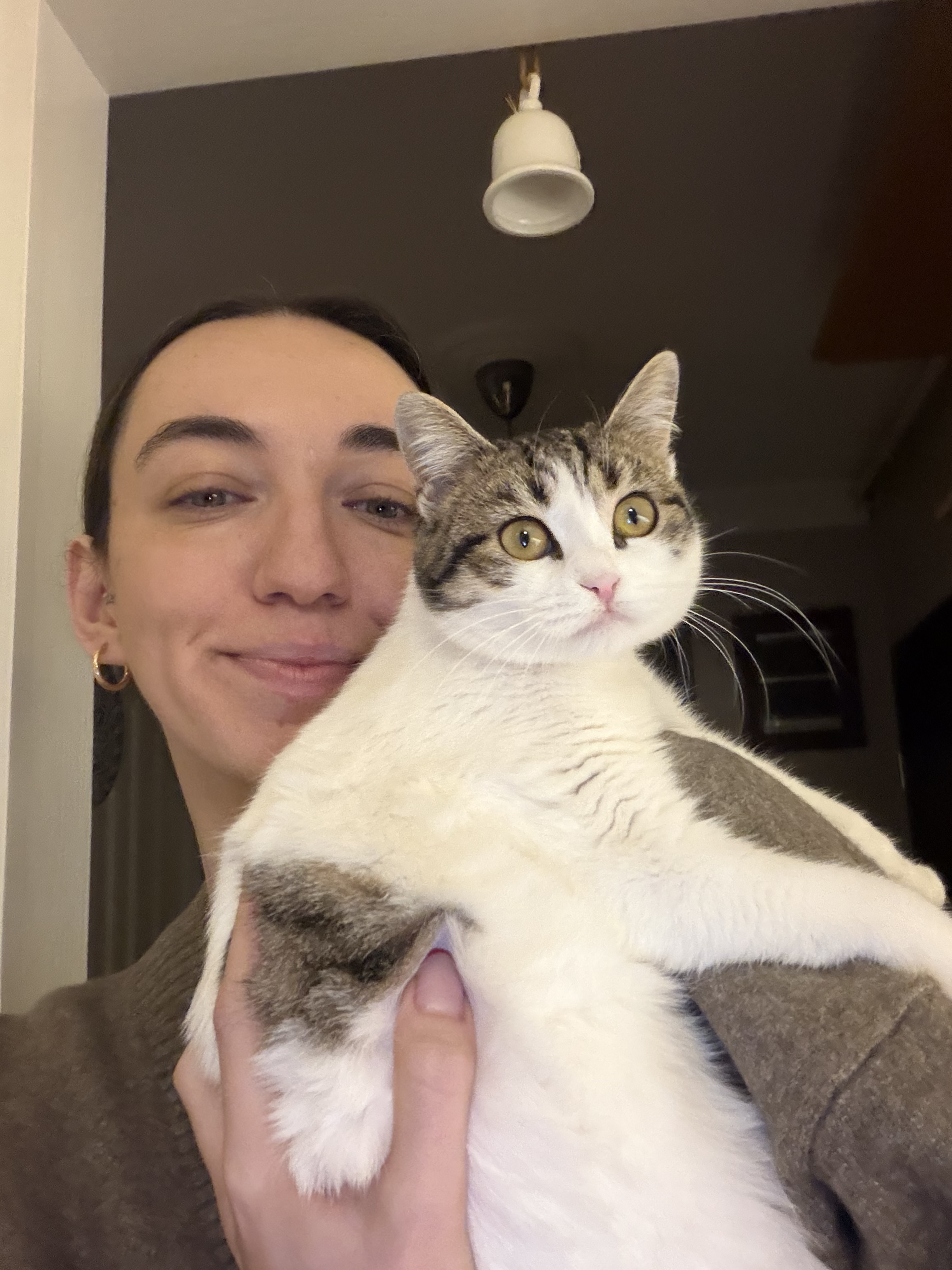 image-6