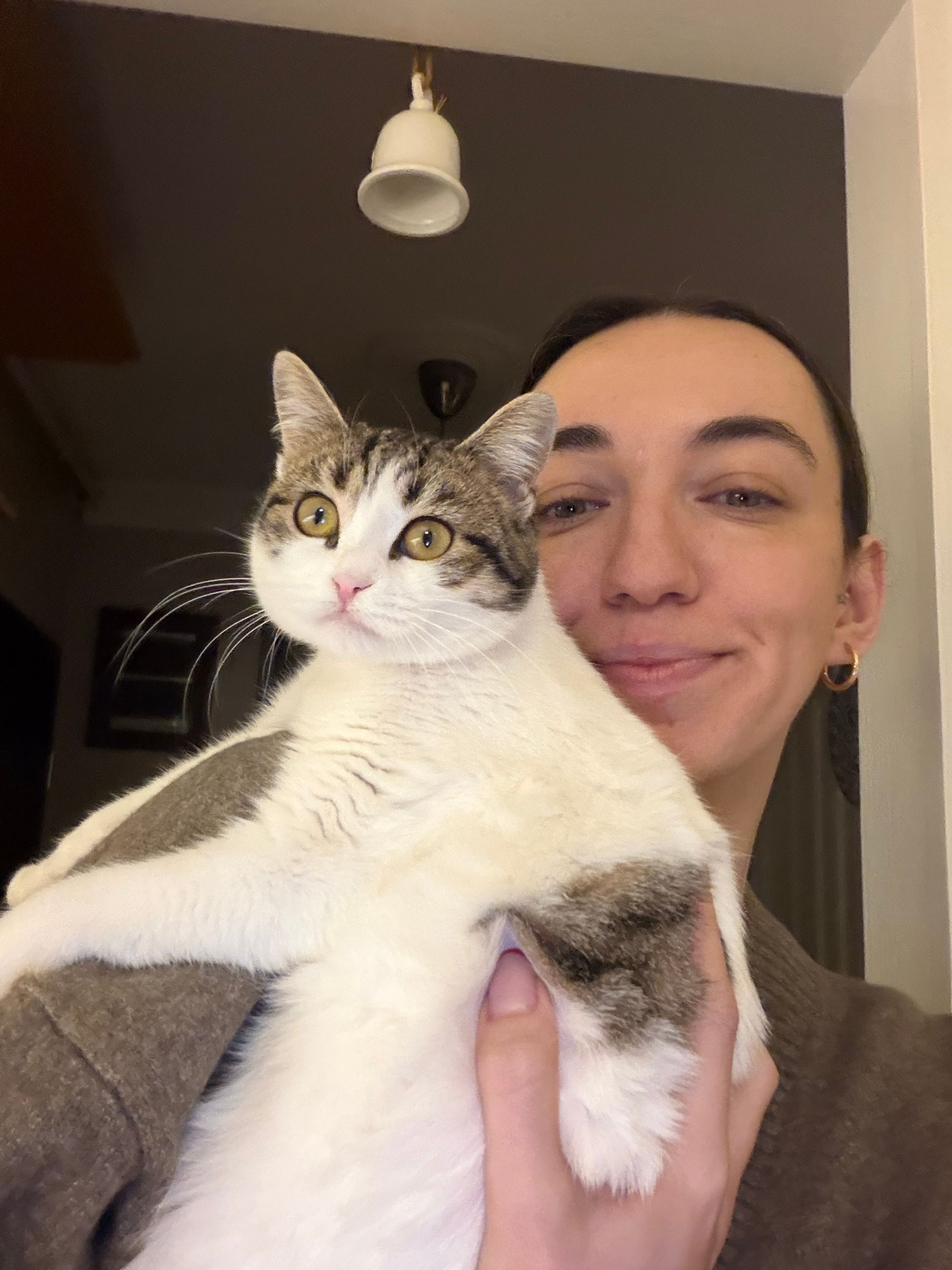 image-6
