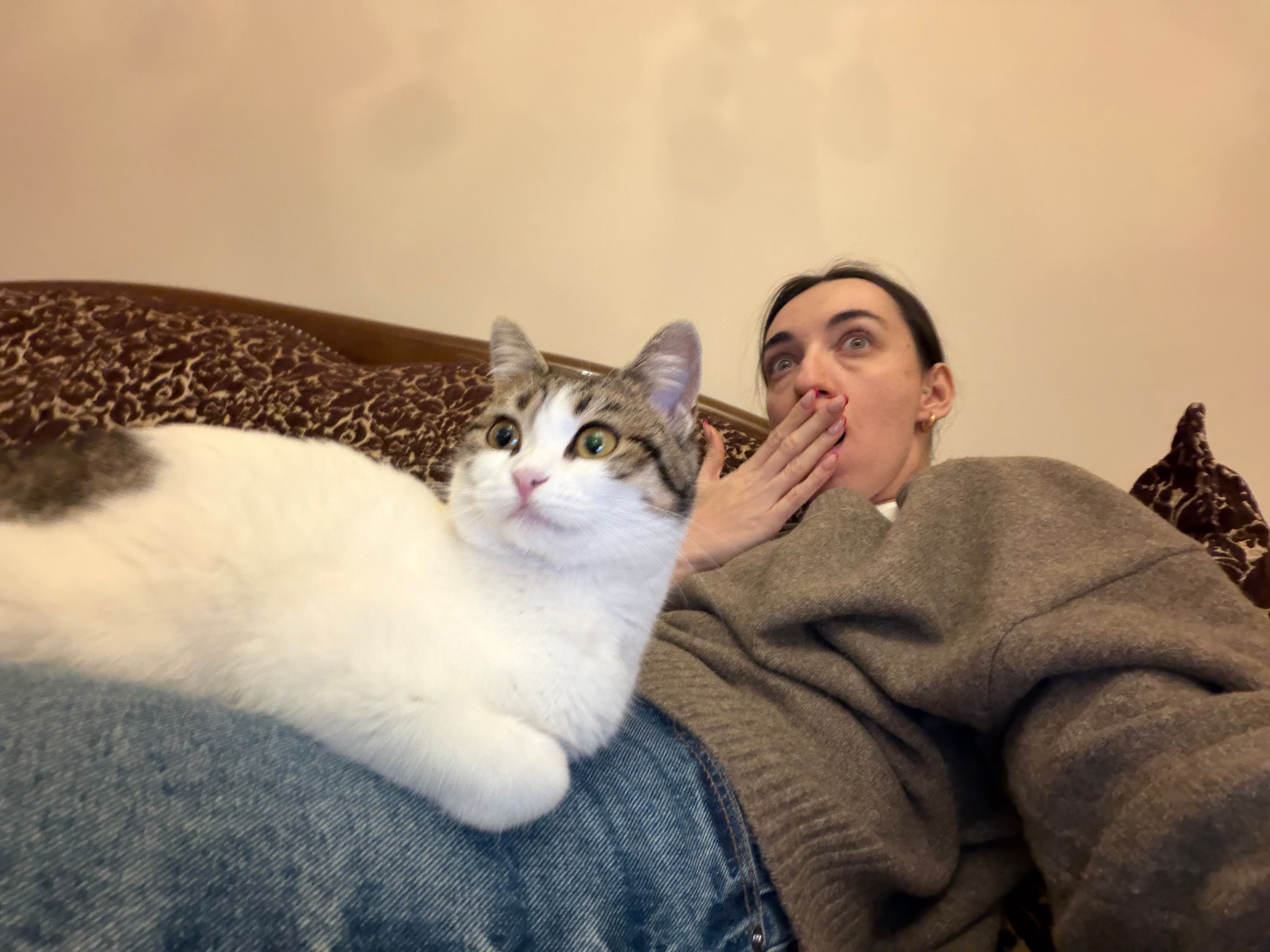 image-8