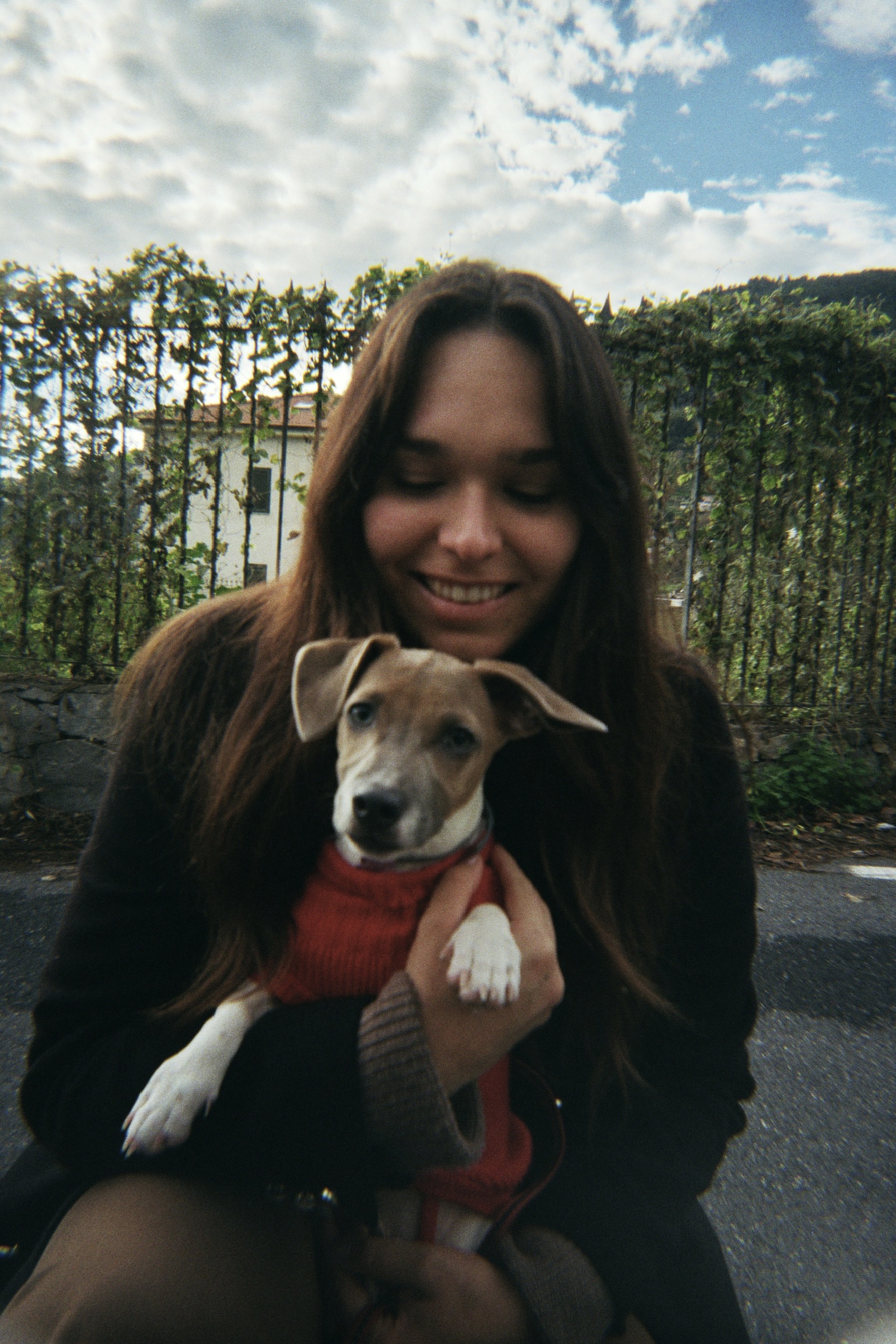image-2