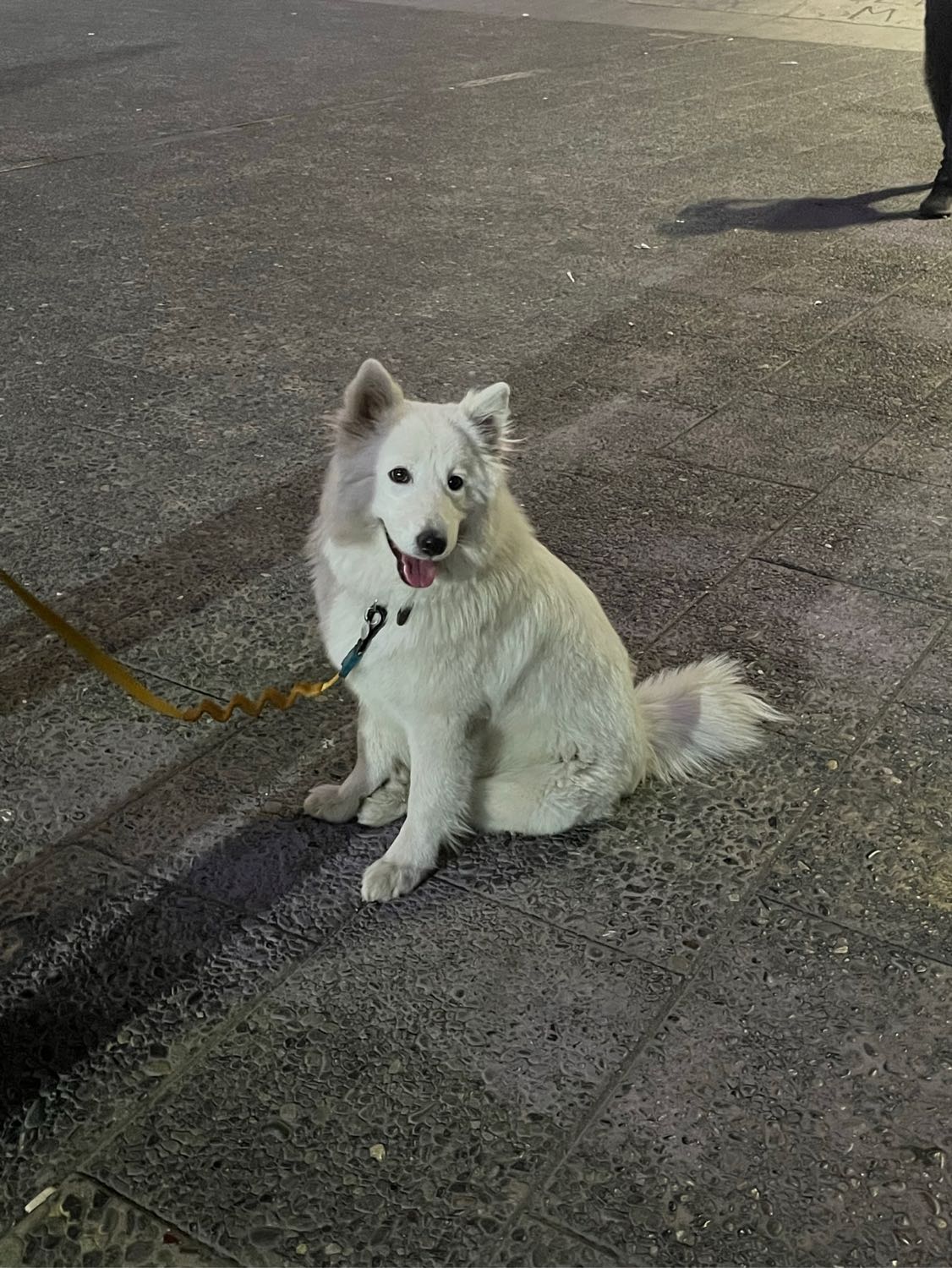 image-10