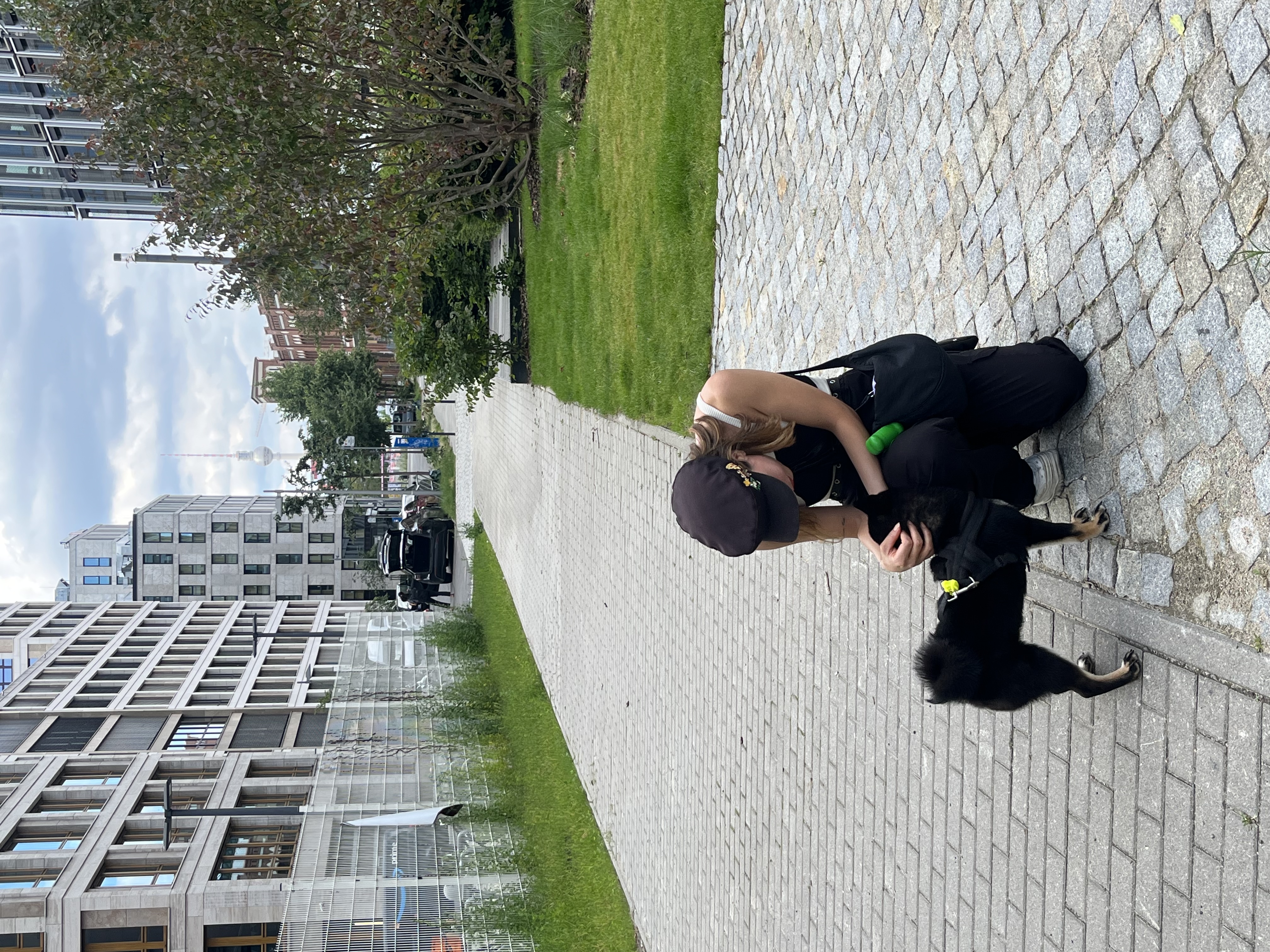 image-7