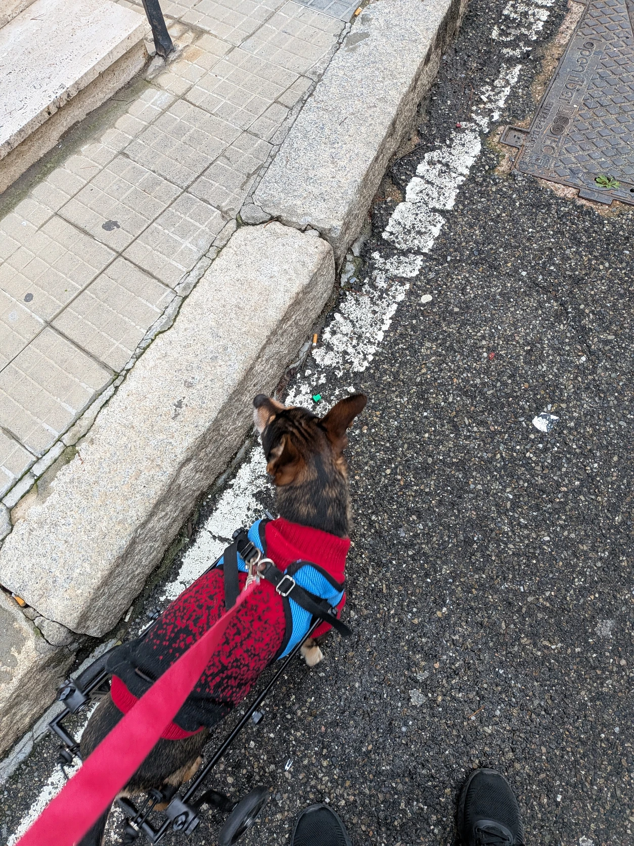 image-6