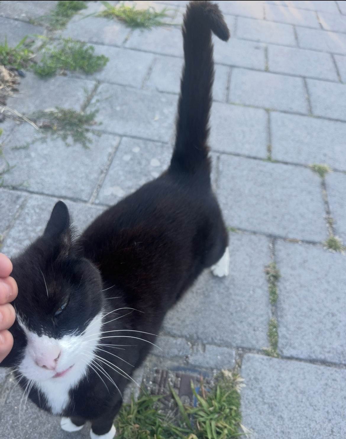image-5