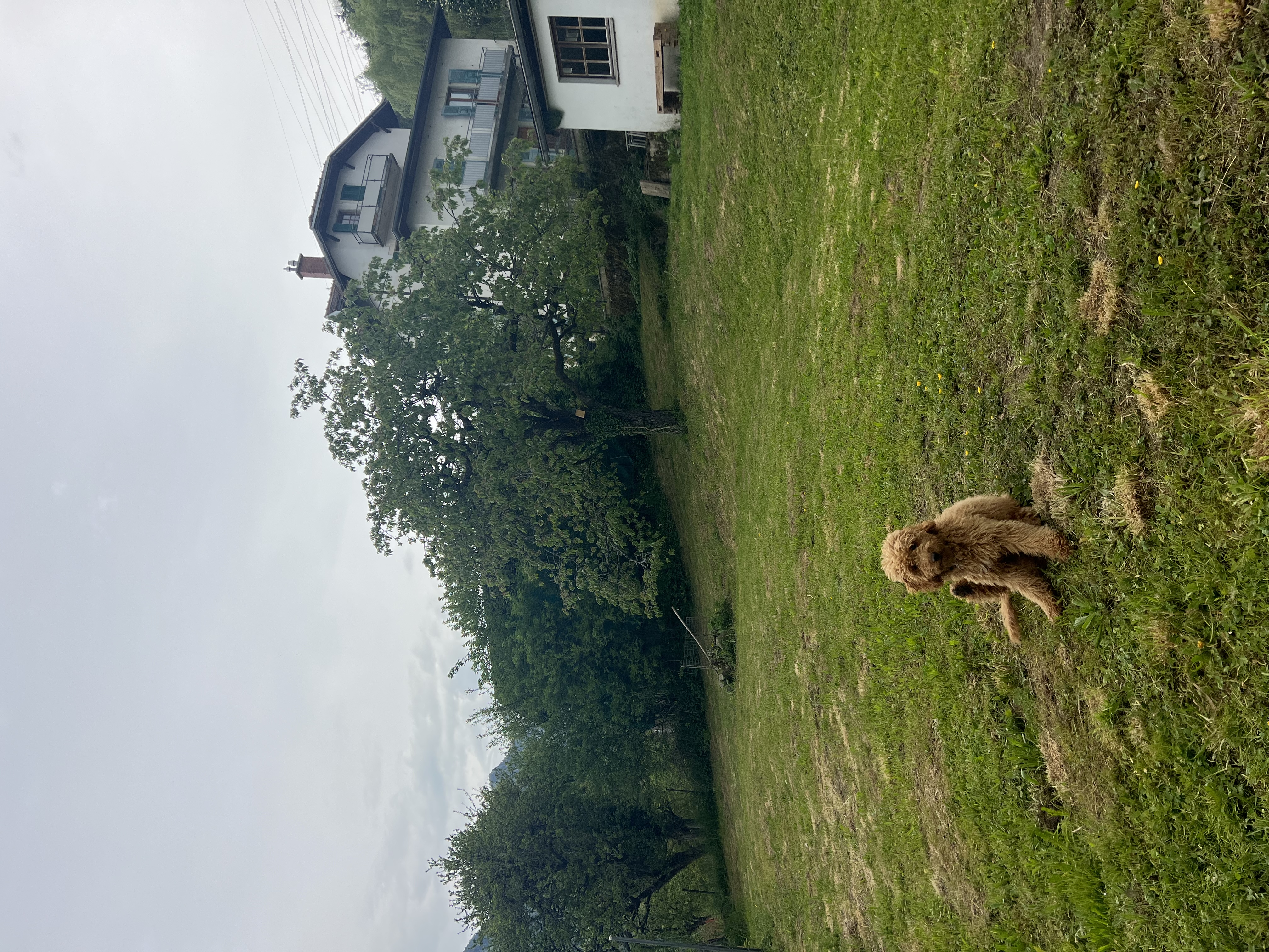 image-20
