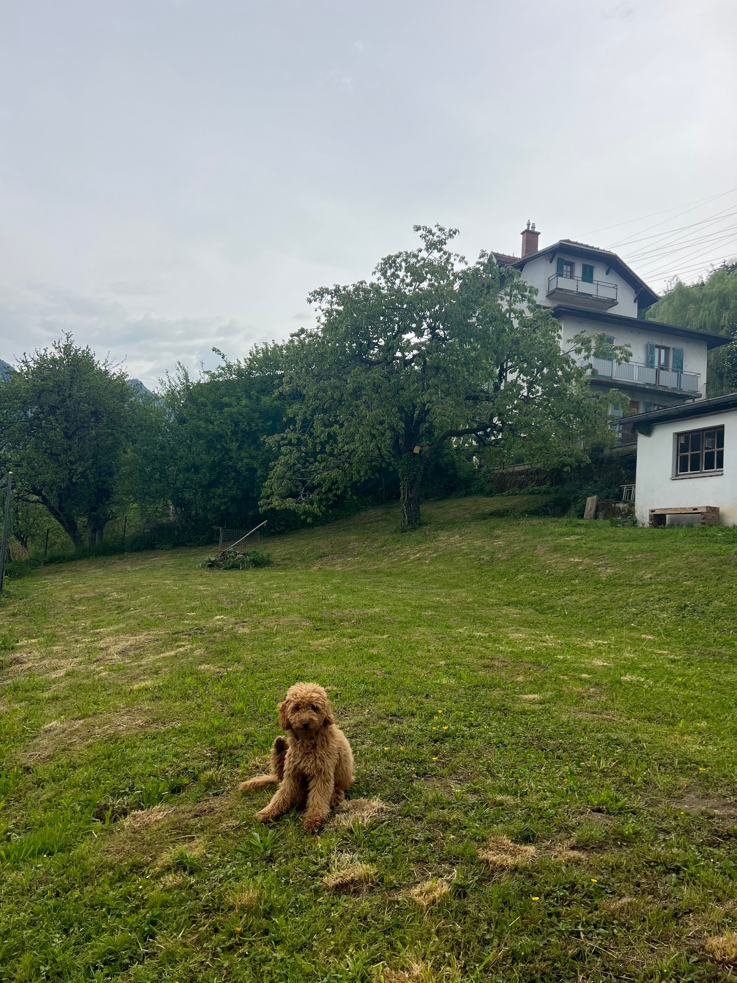 image-20