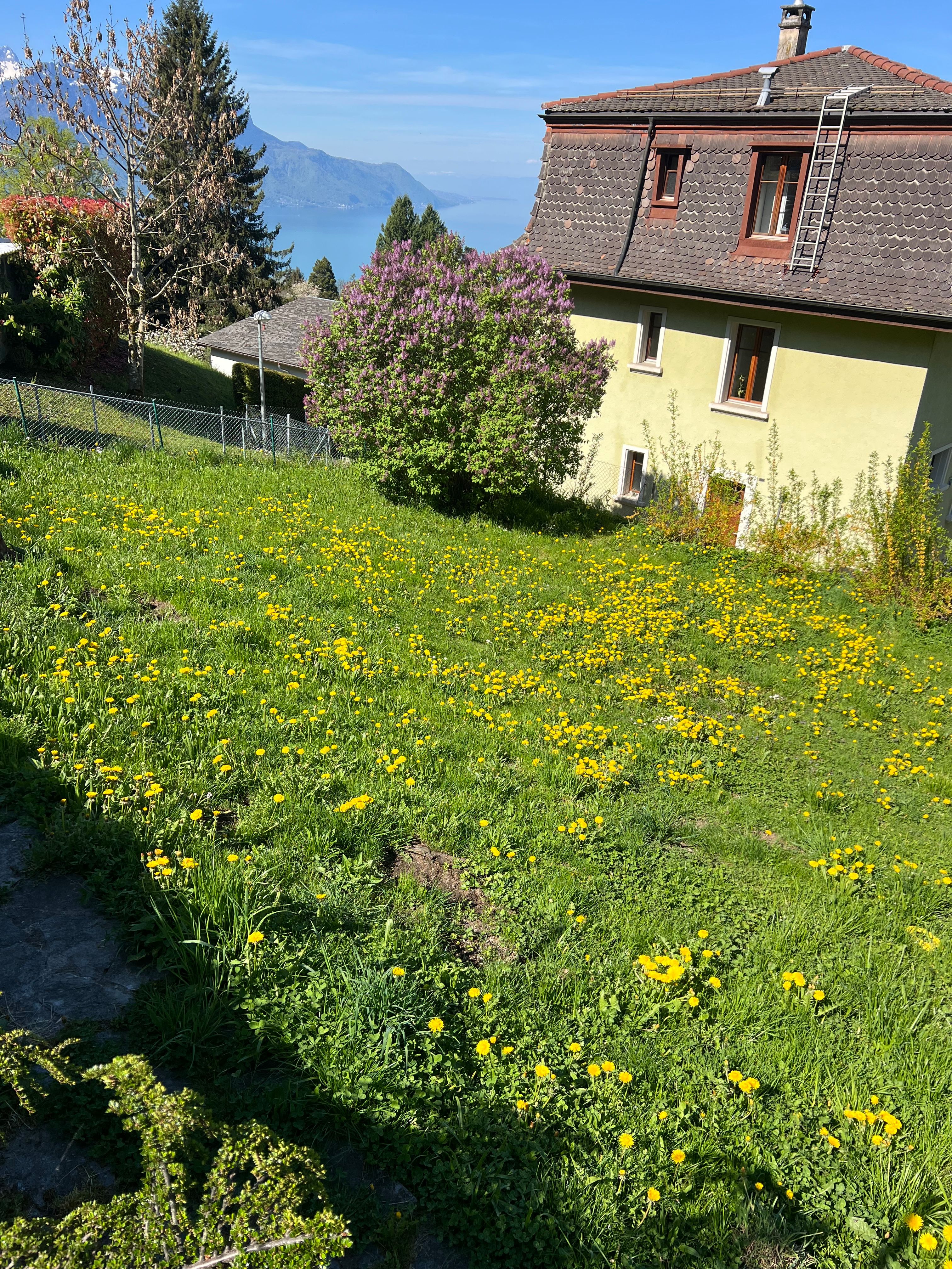 image-19
