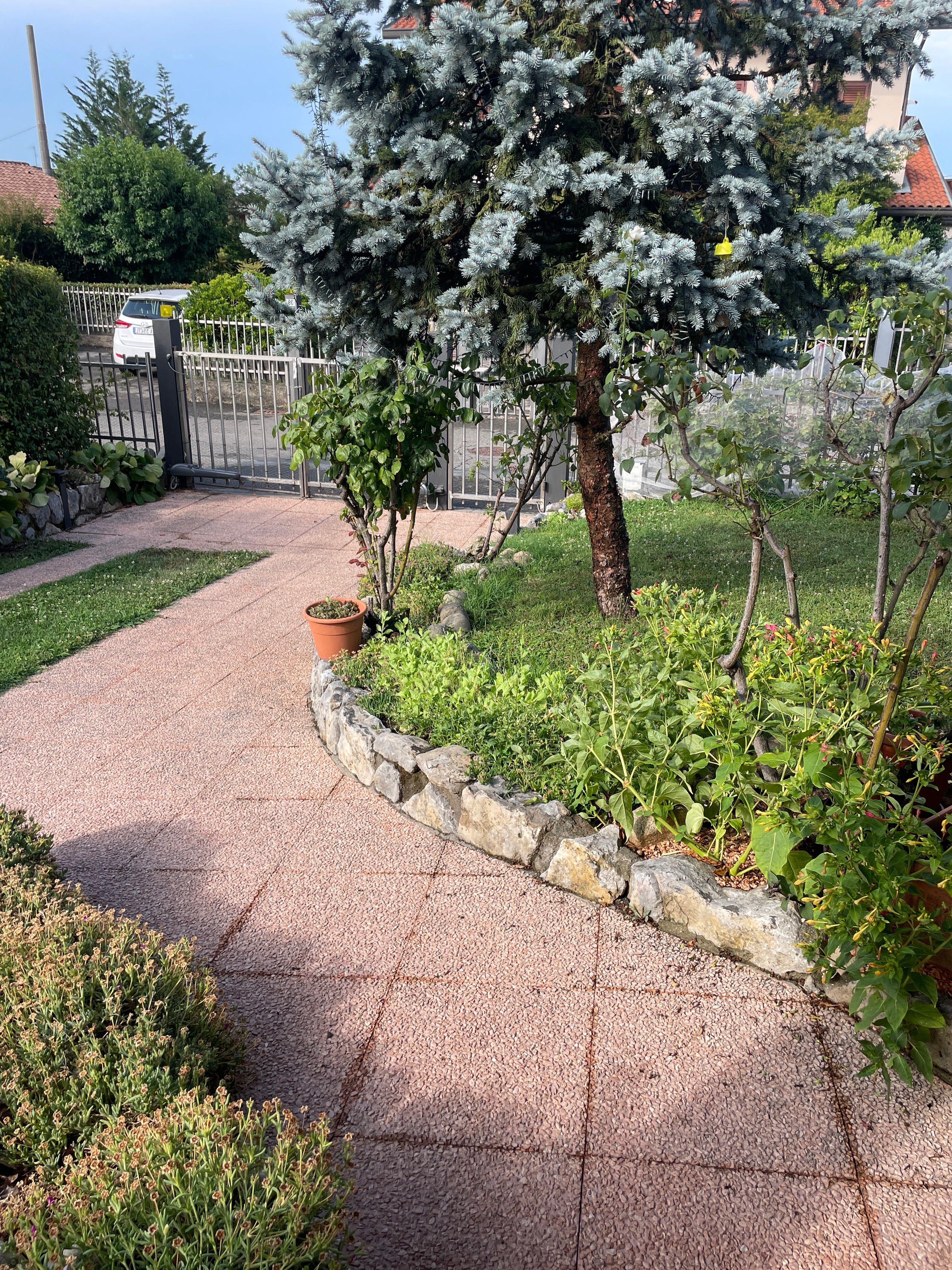 image-15