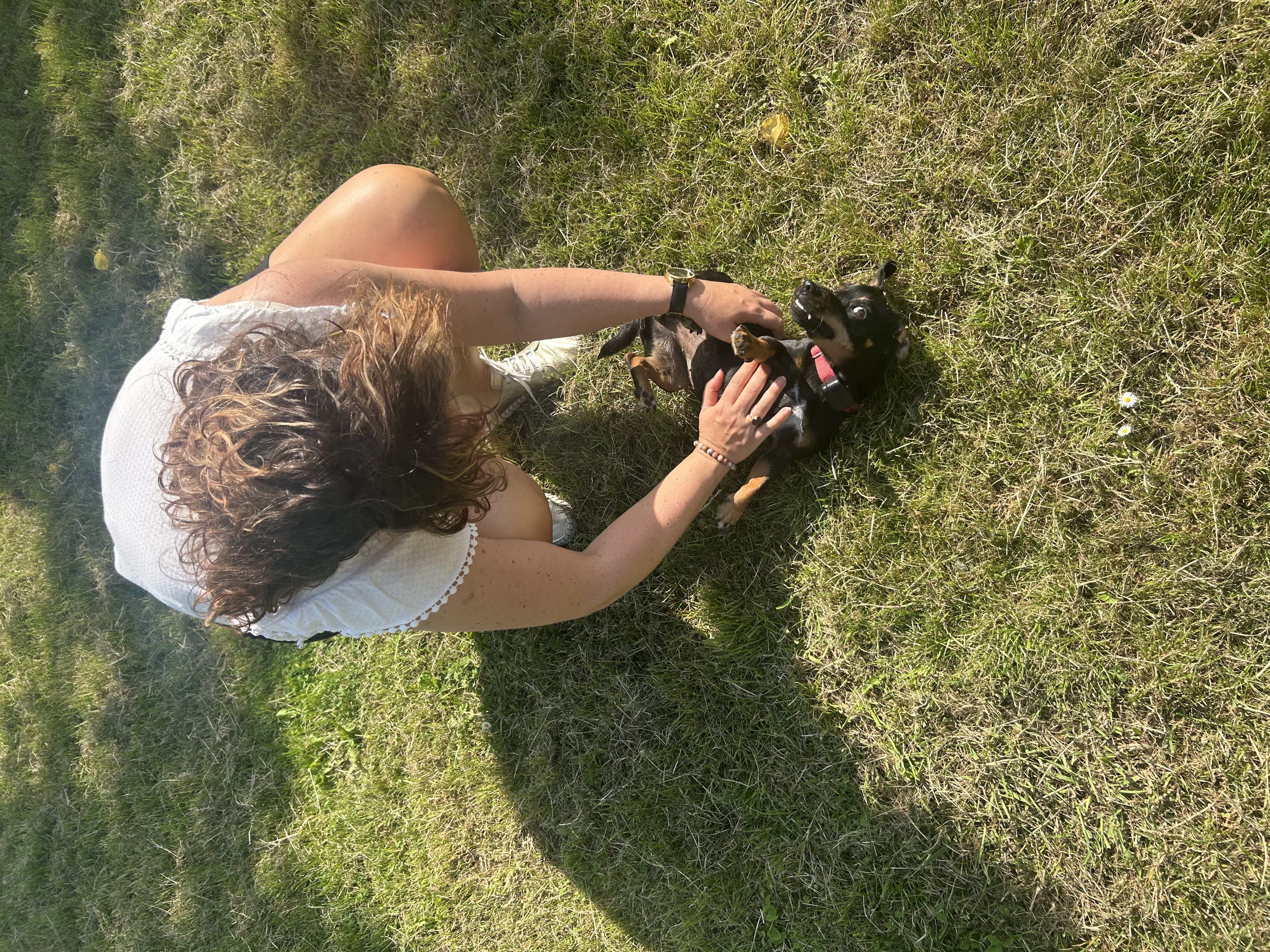 image-11