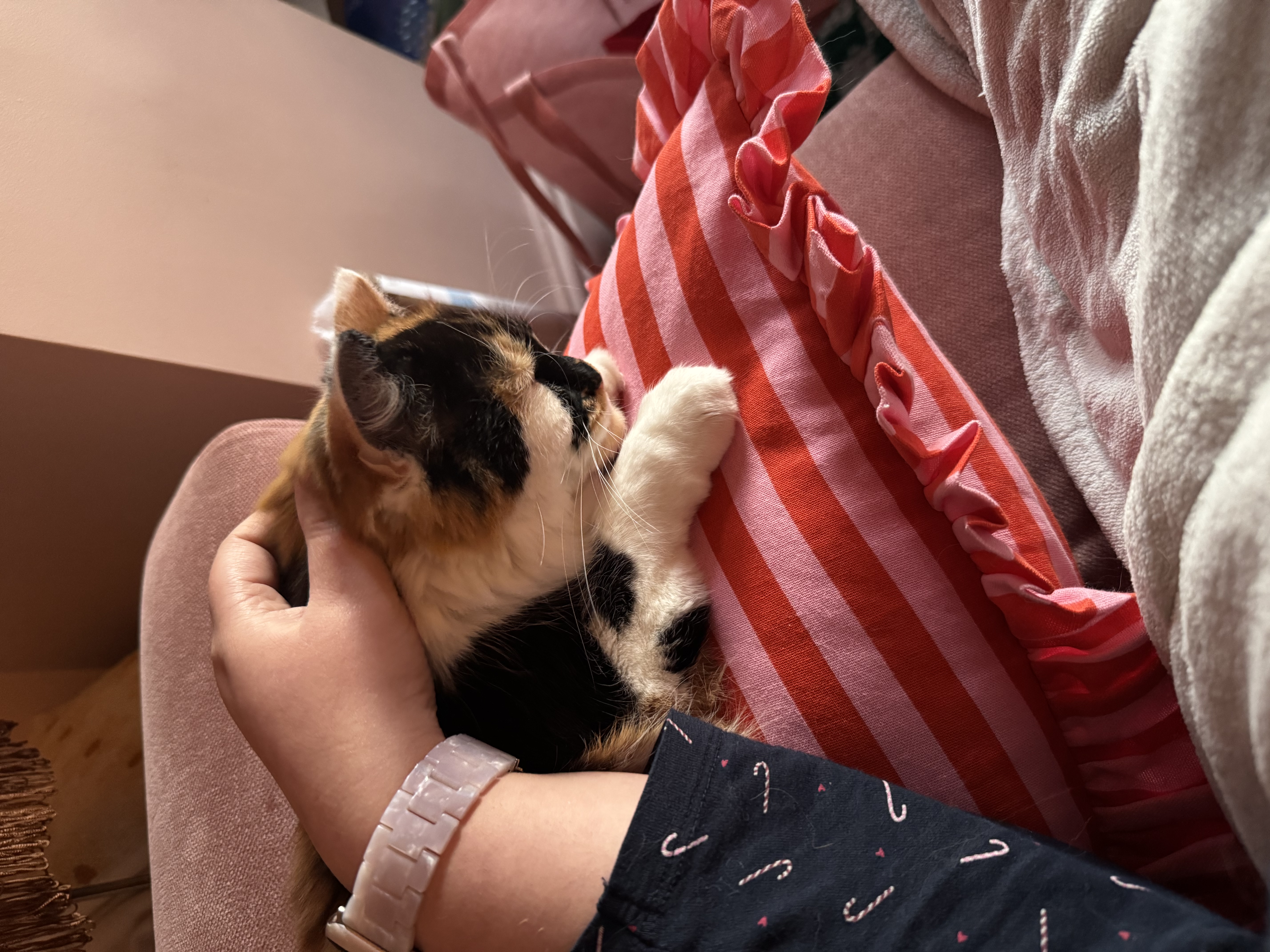 image-8