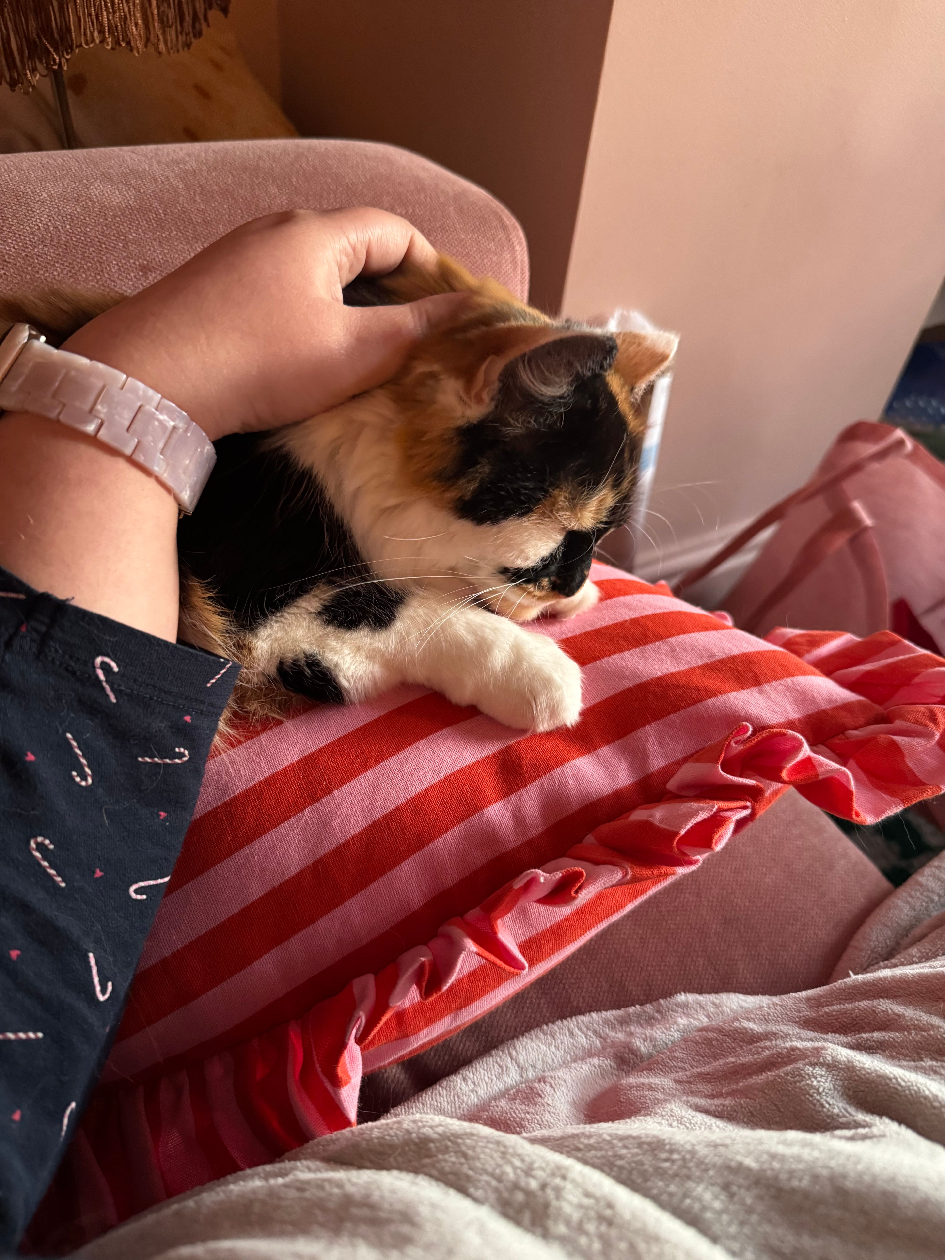 image-8