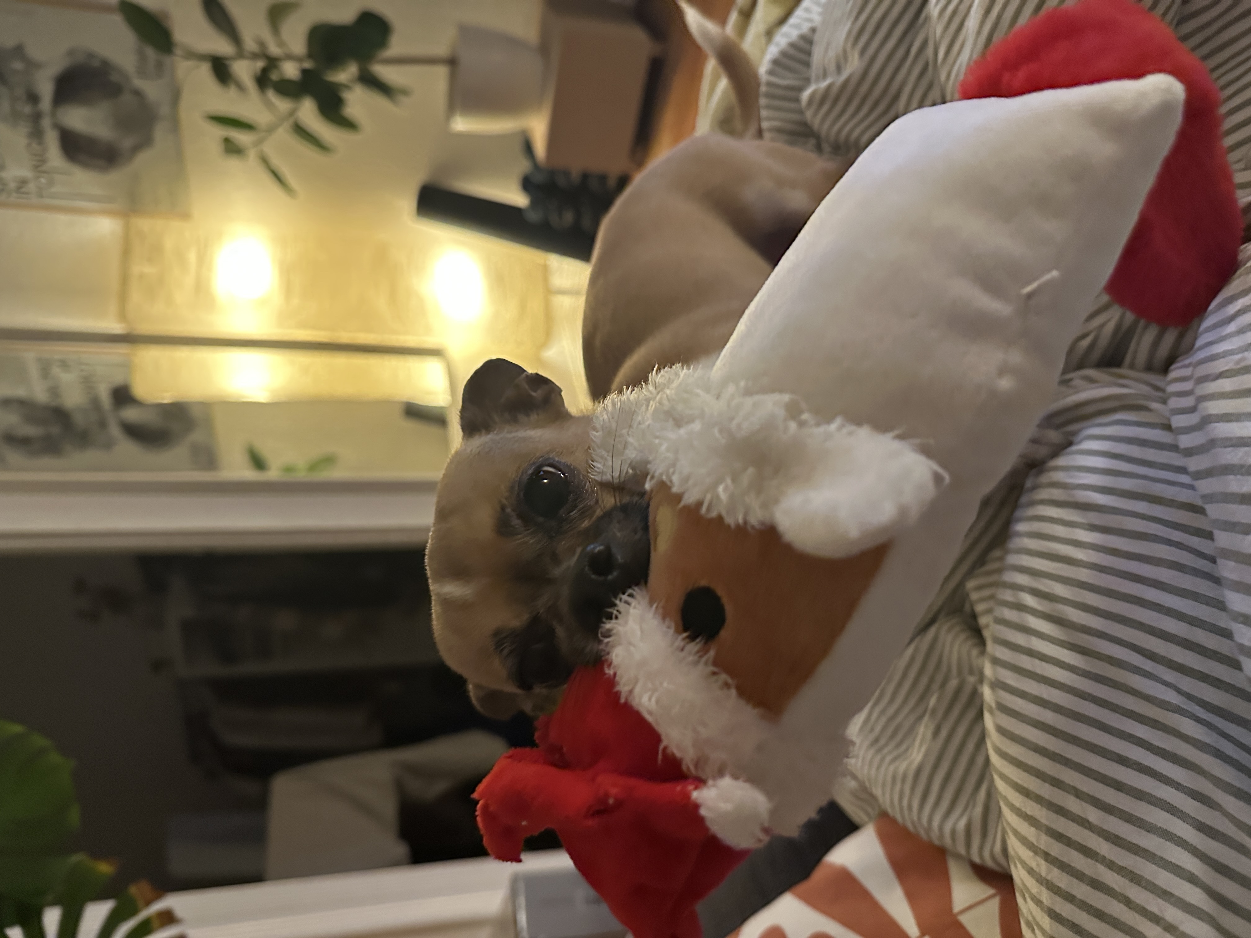 image-11