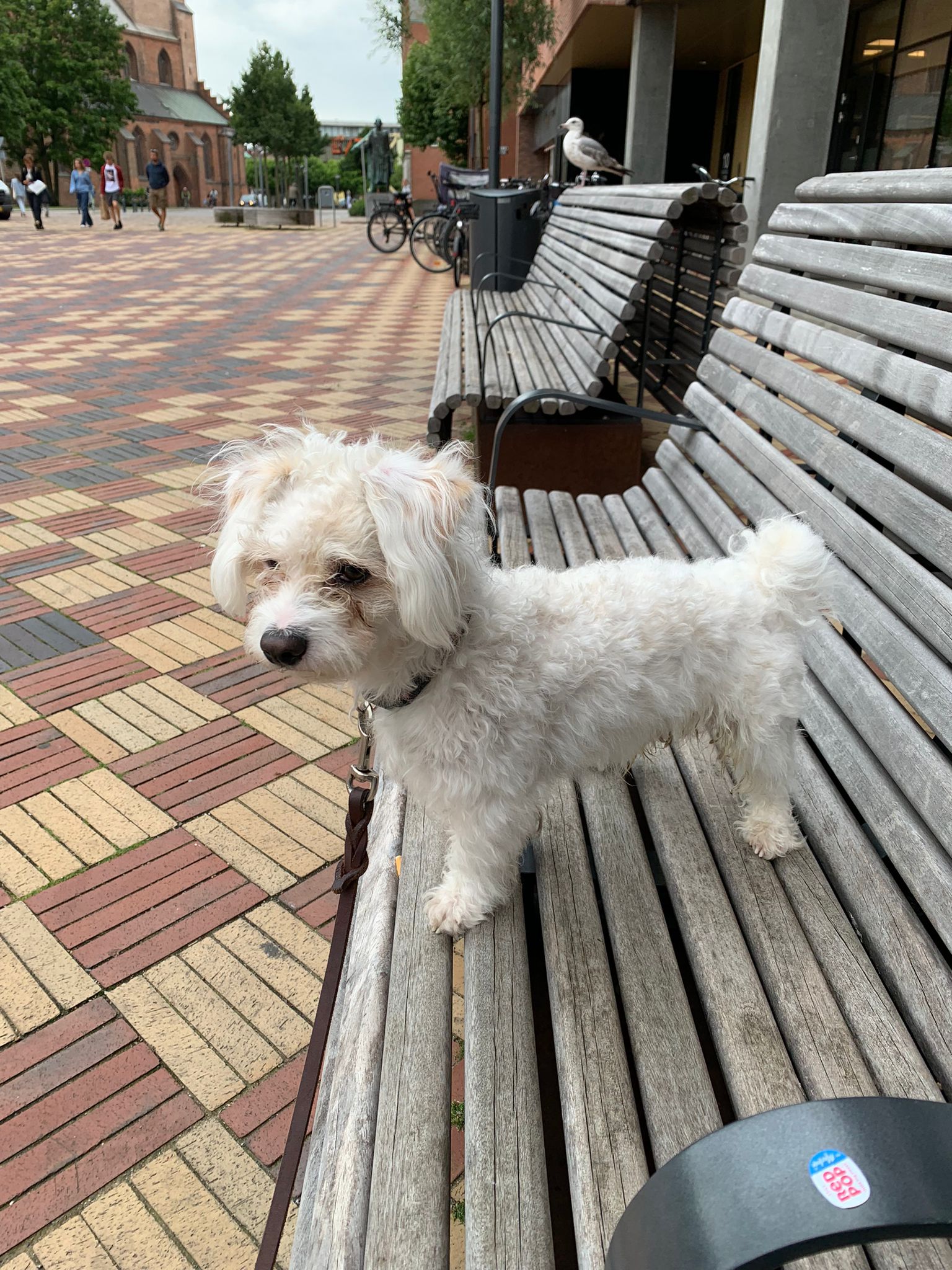 image-10