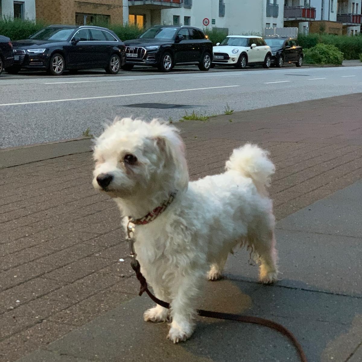 Coco