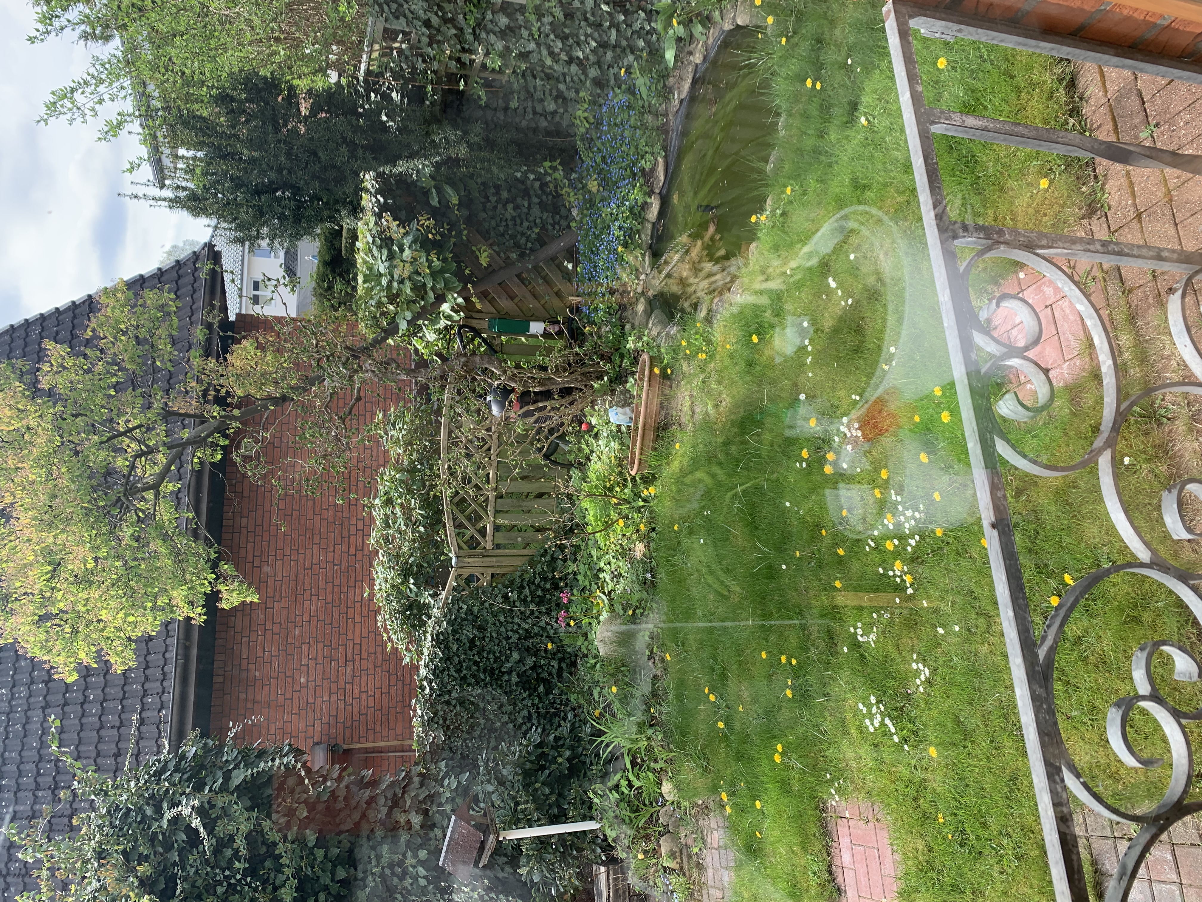 image-20