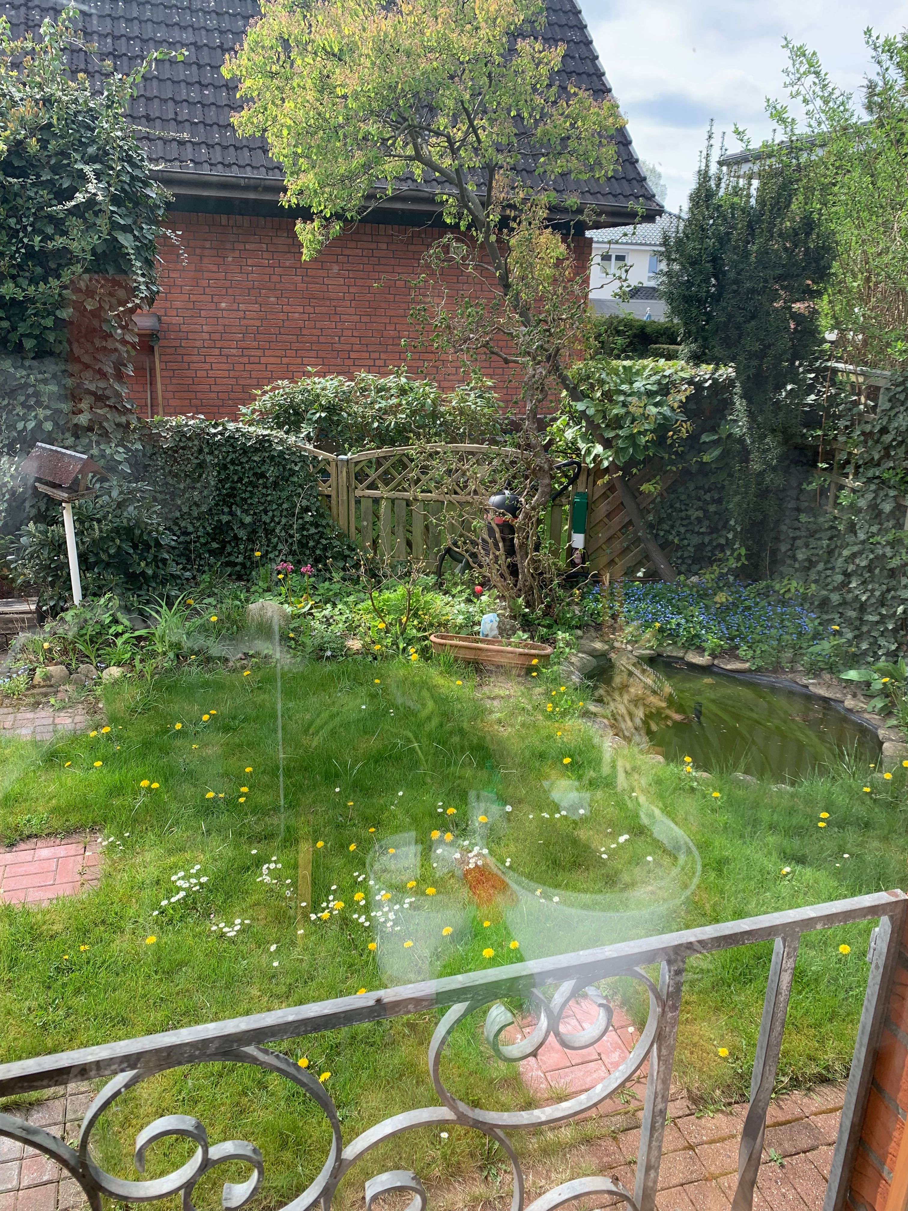 image-20
