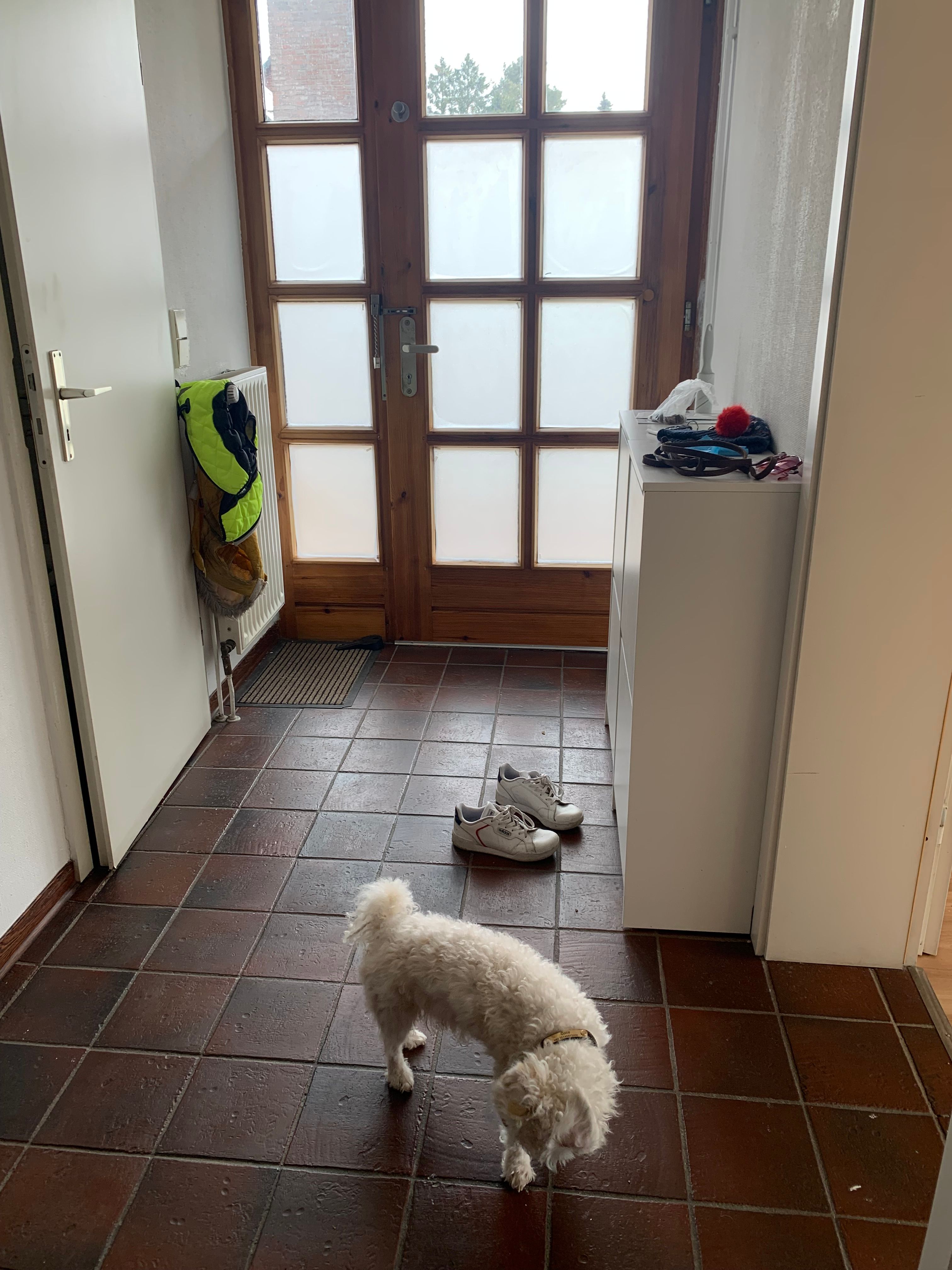 image-25
