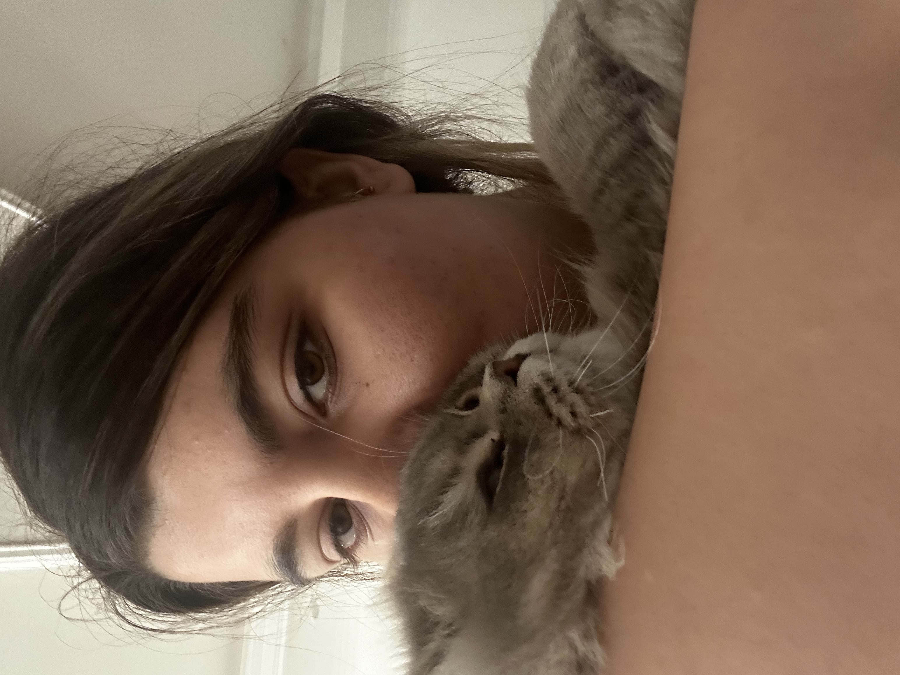 image-8