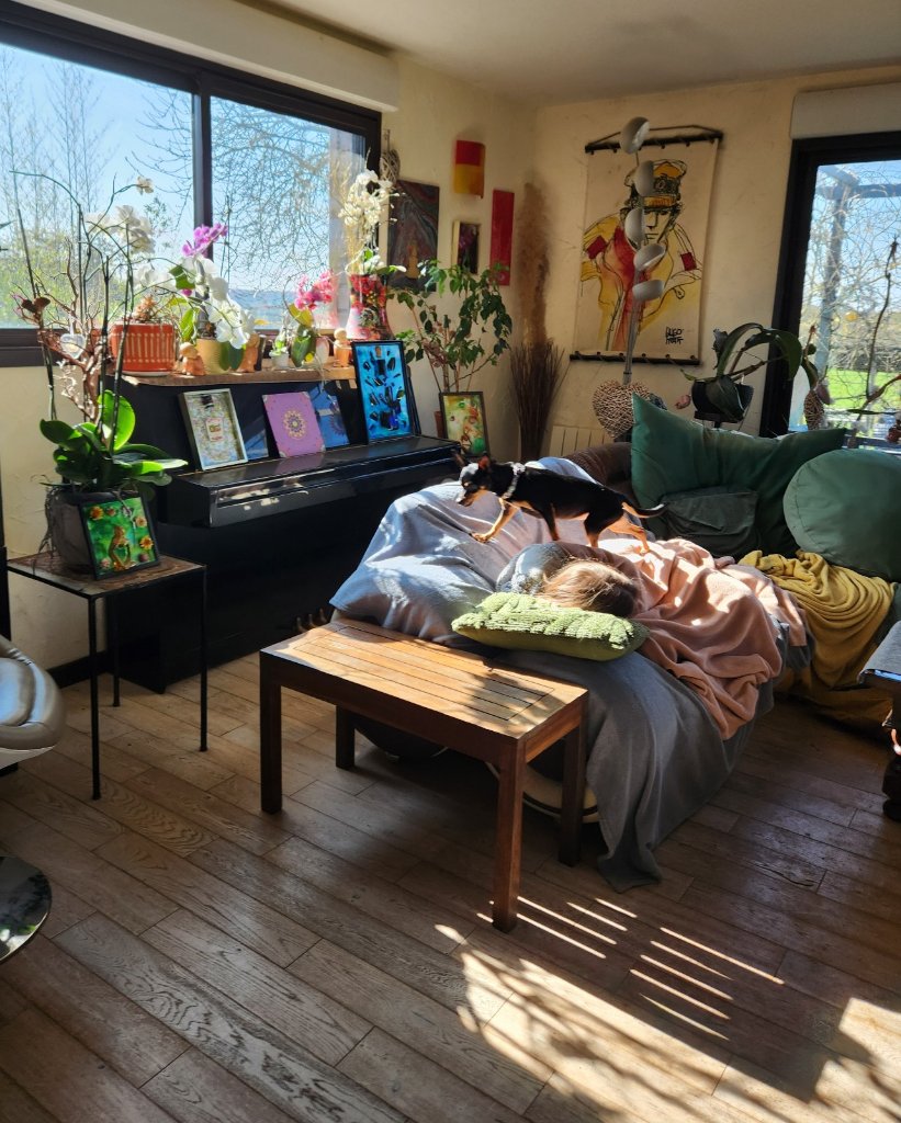 image-7