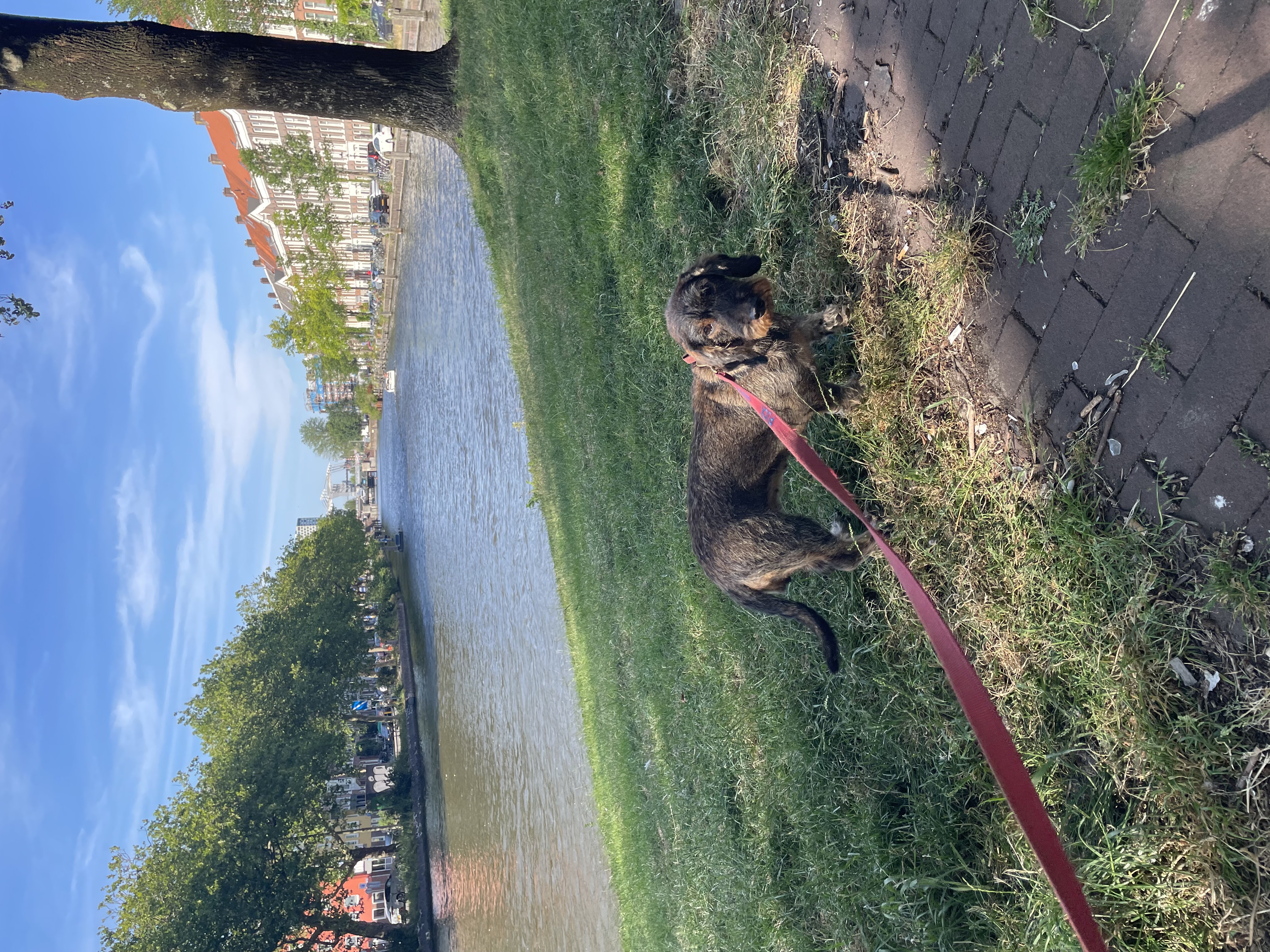 image-14