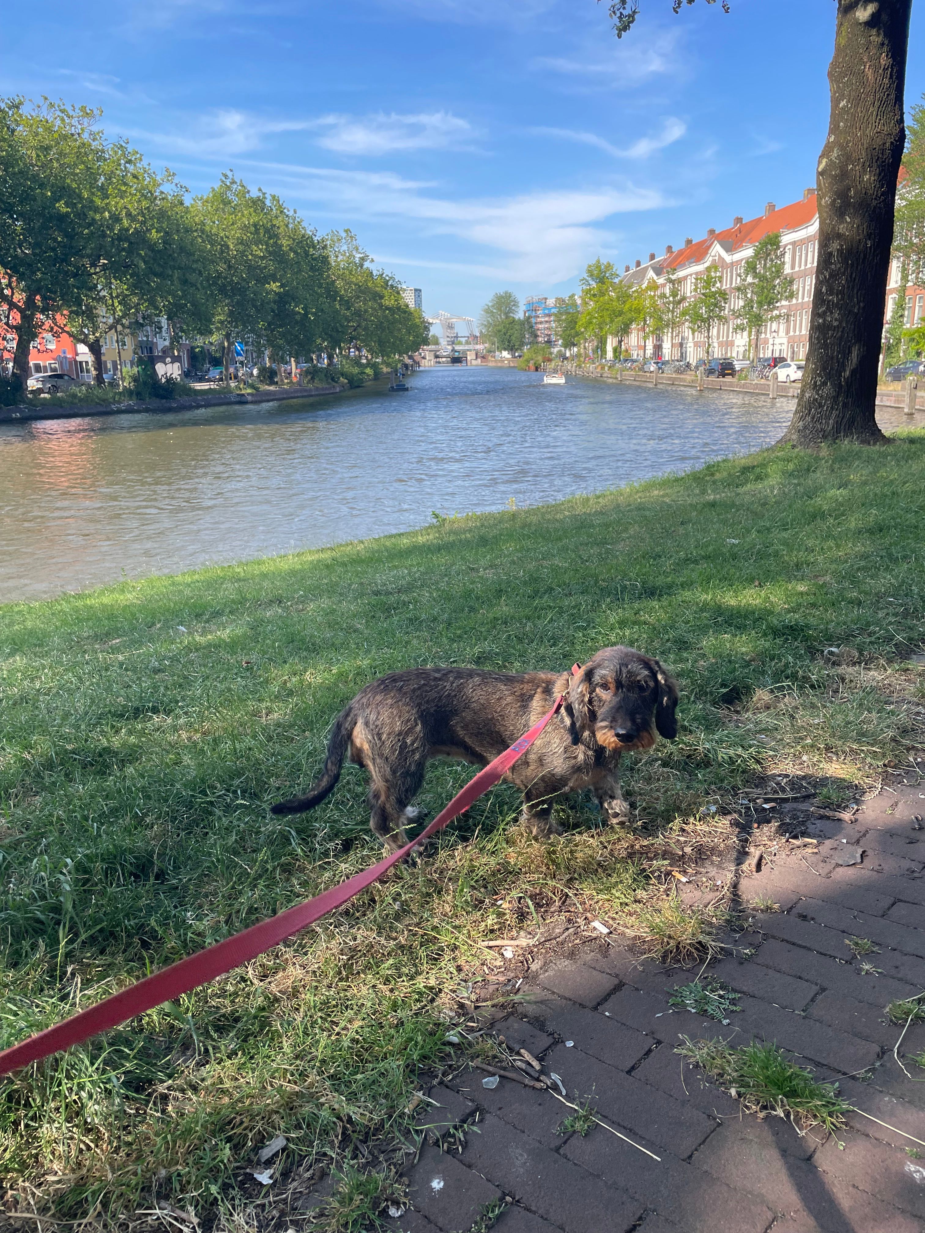image-14
