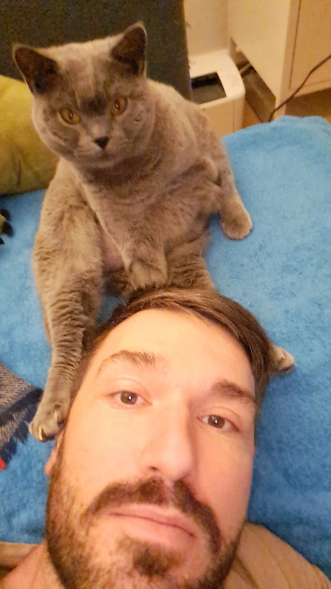 image-6