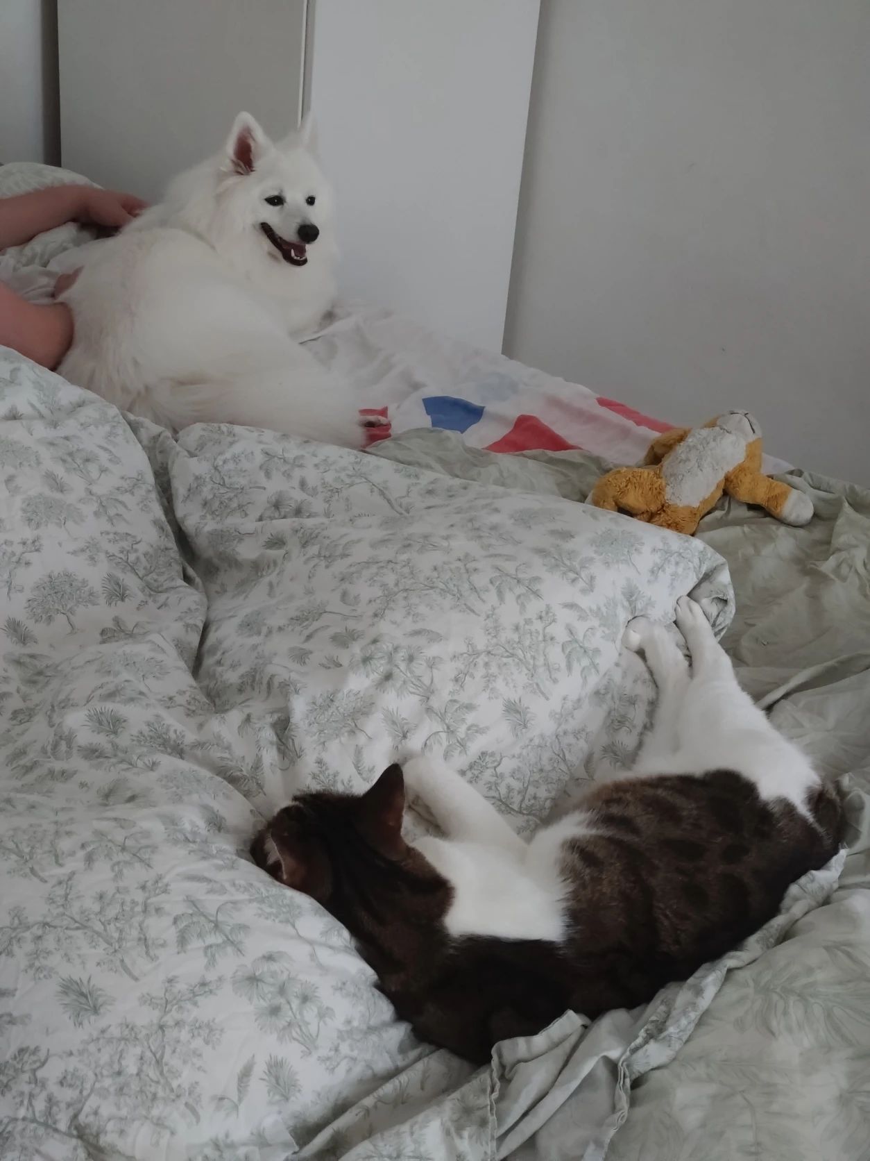 image-10