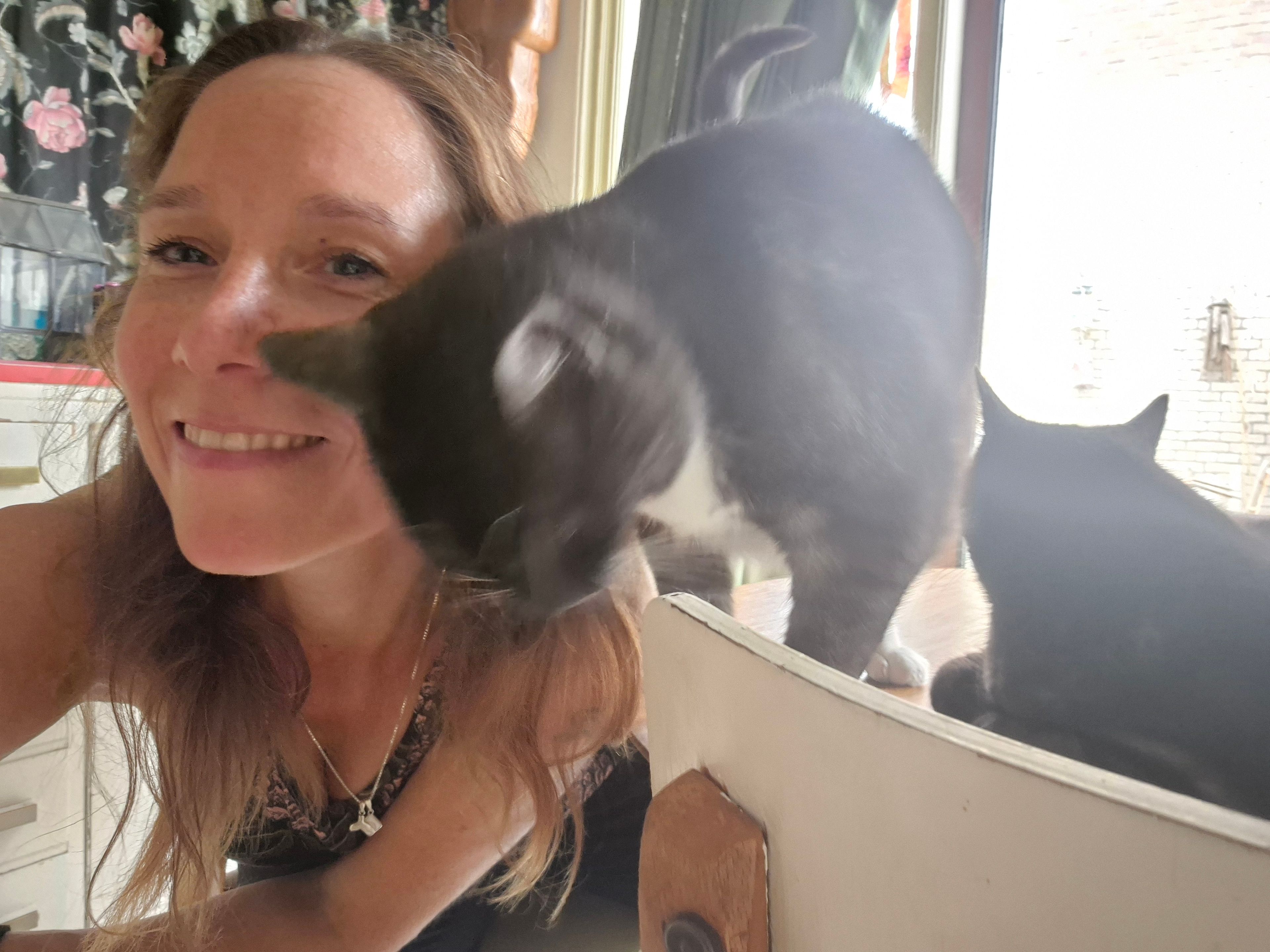 image-4