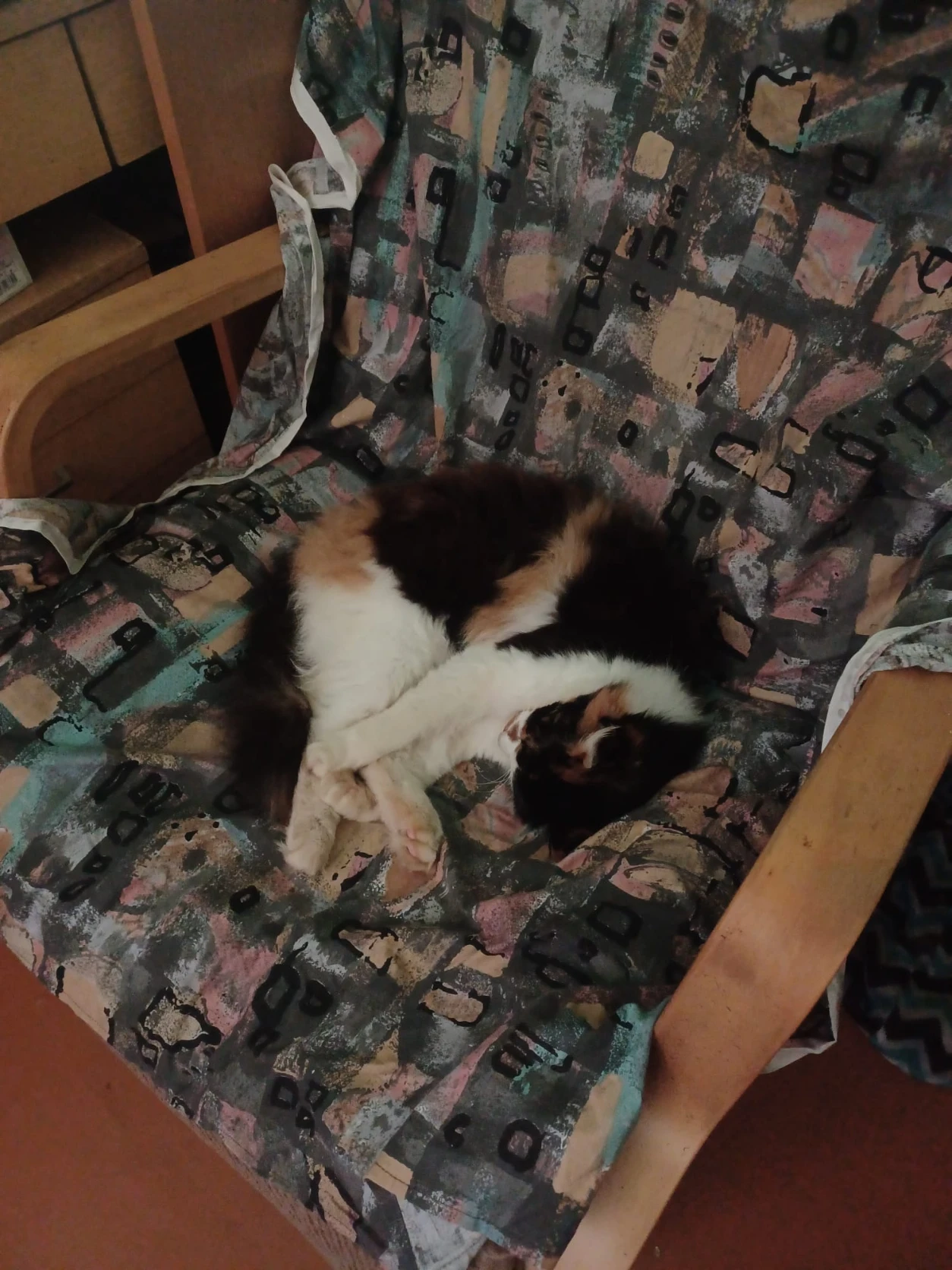 image-28