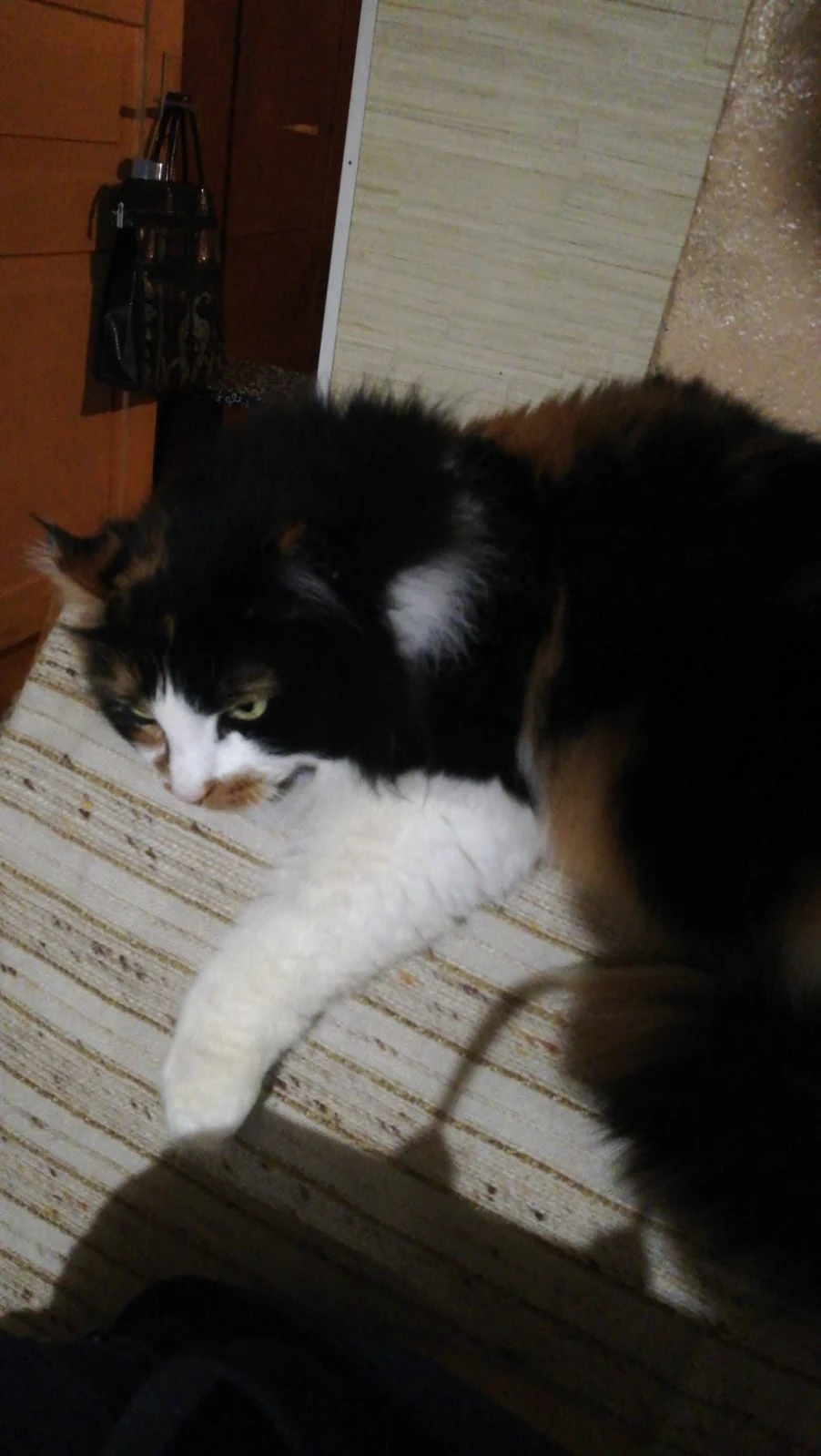 image-14