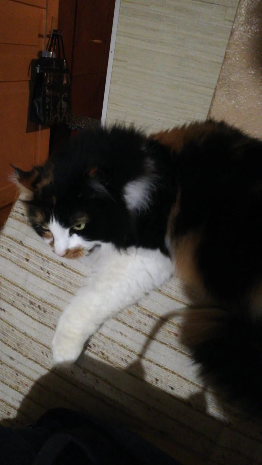 image-14