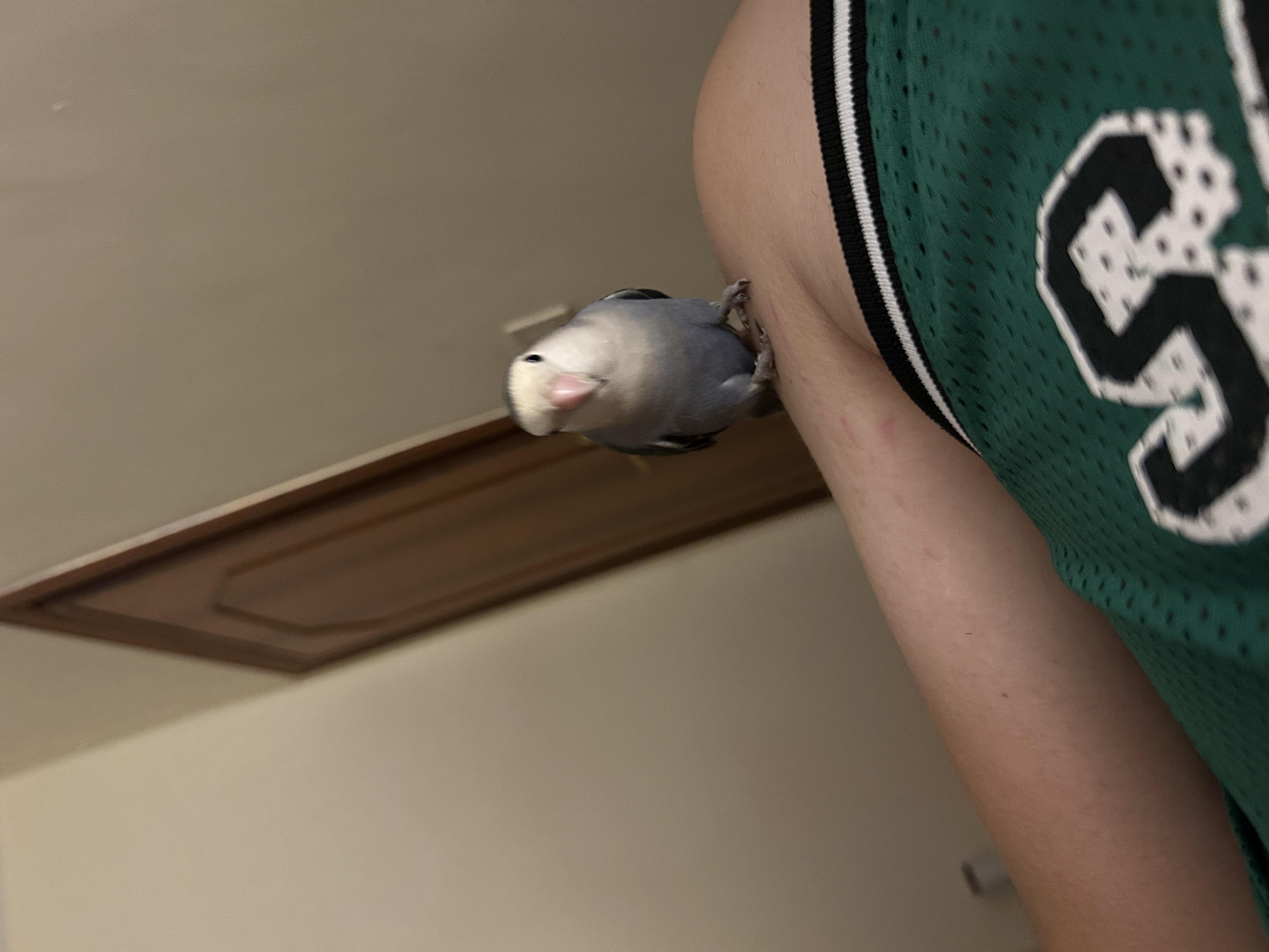 image-10