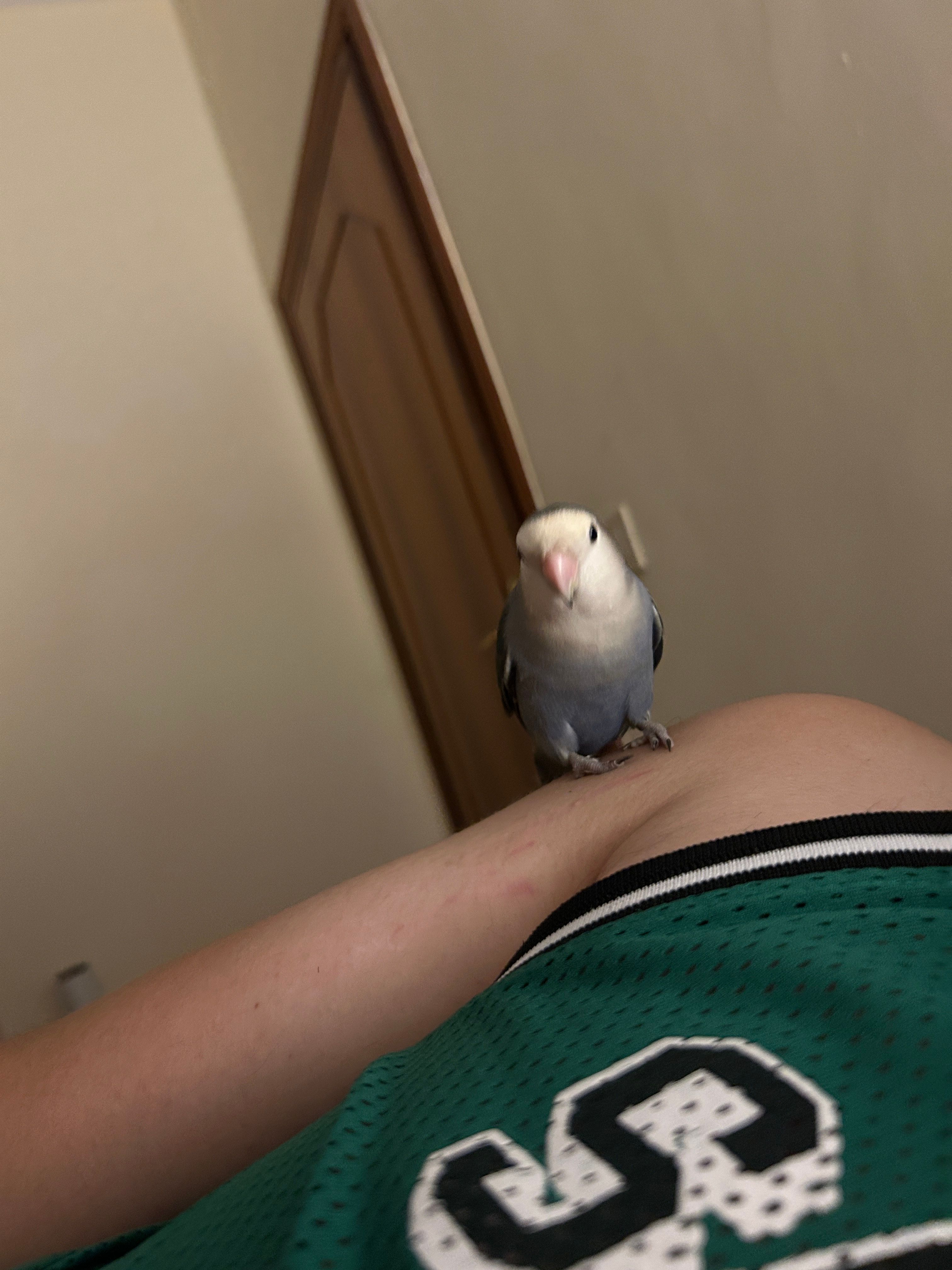 image-10