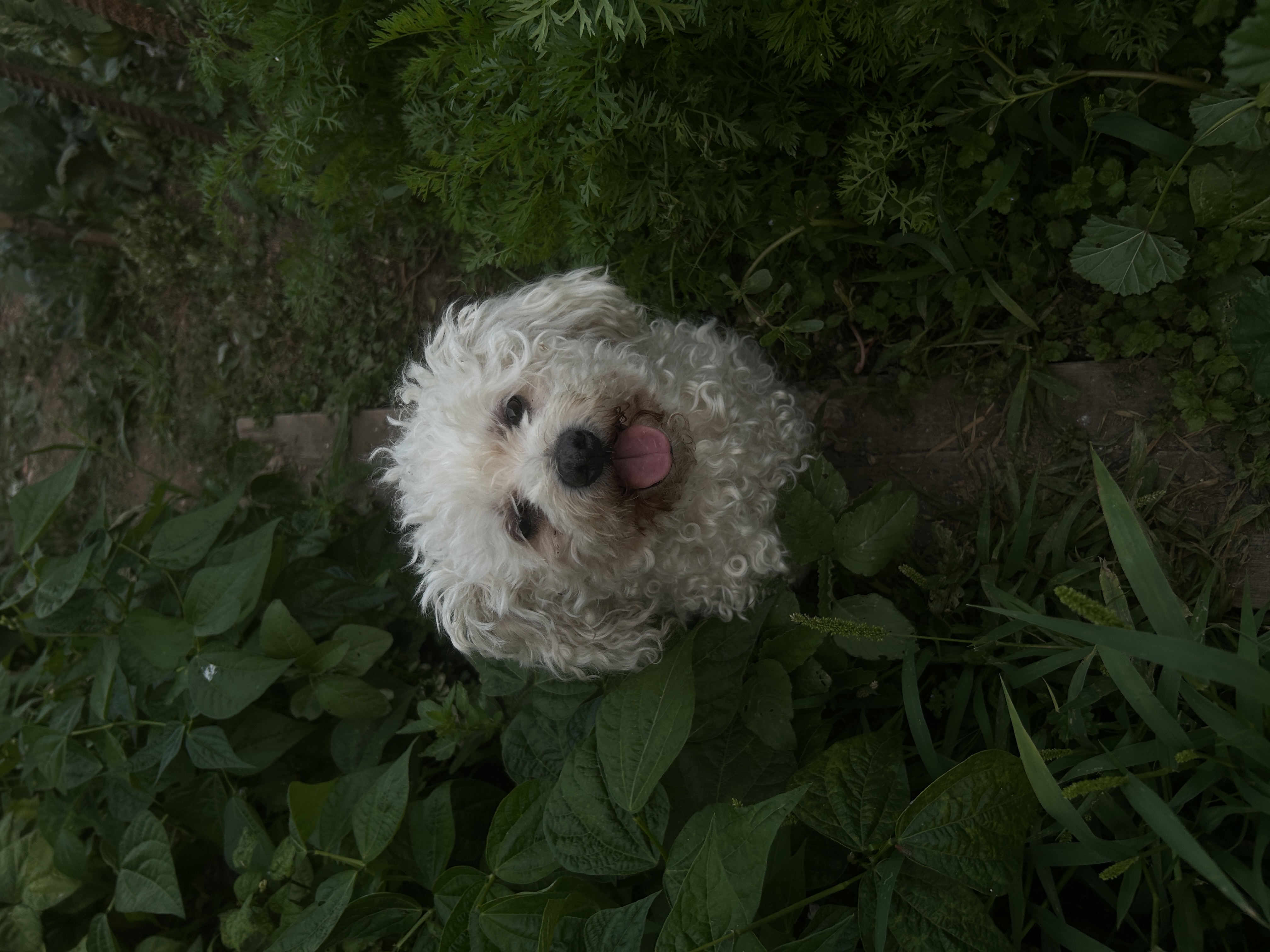 image-6