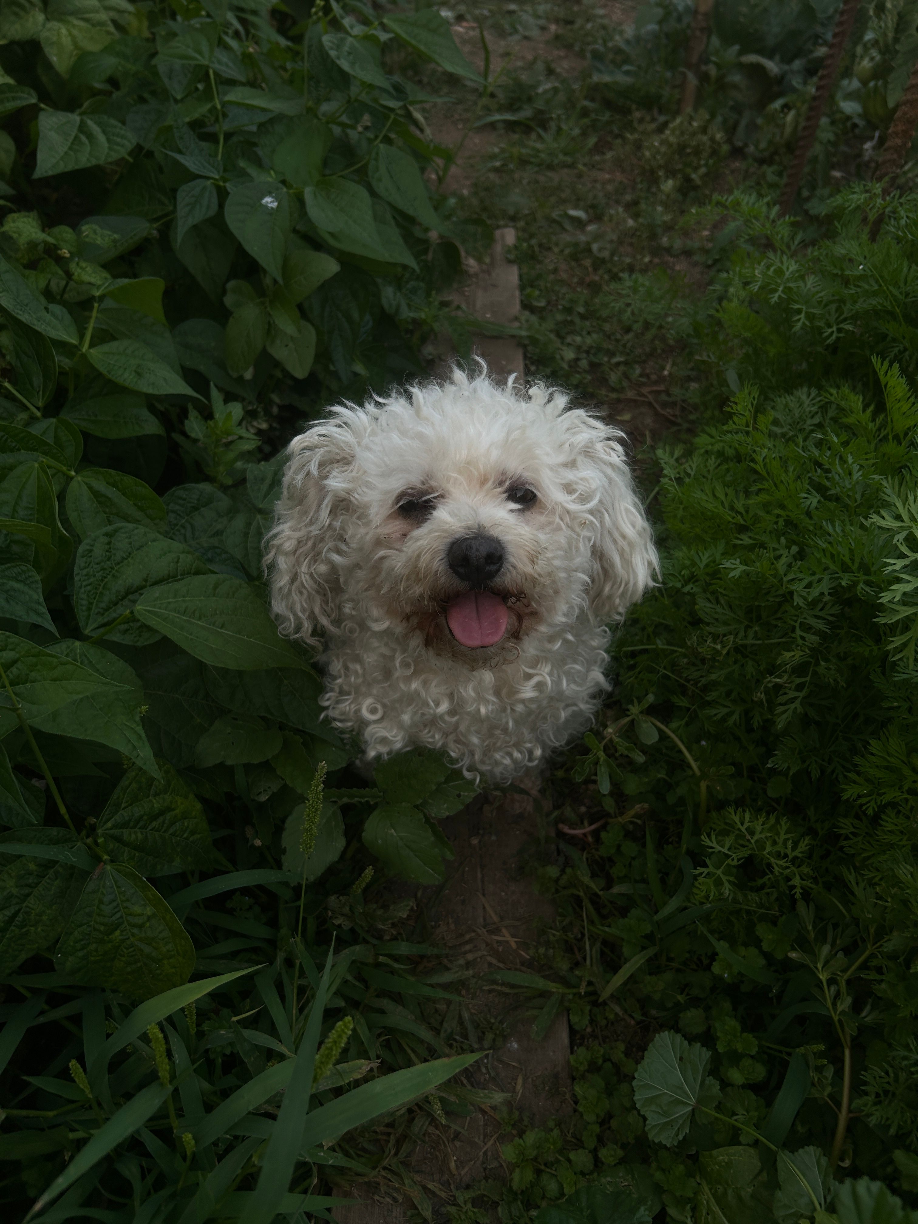 image-6