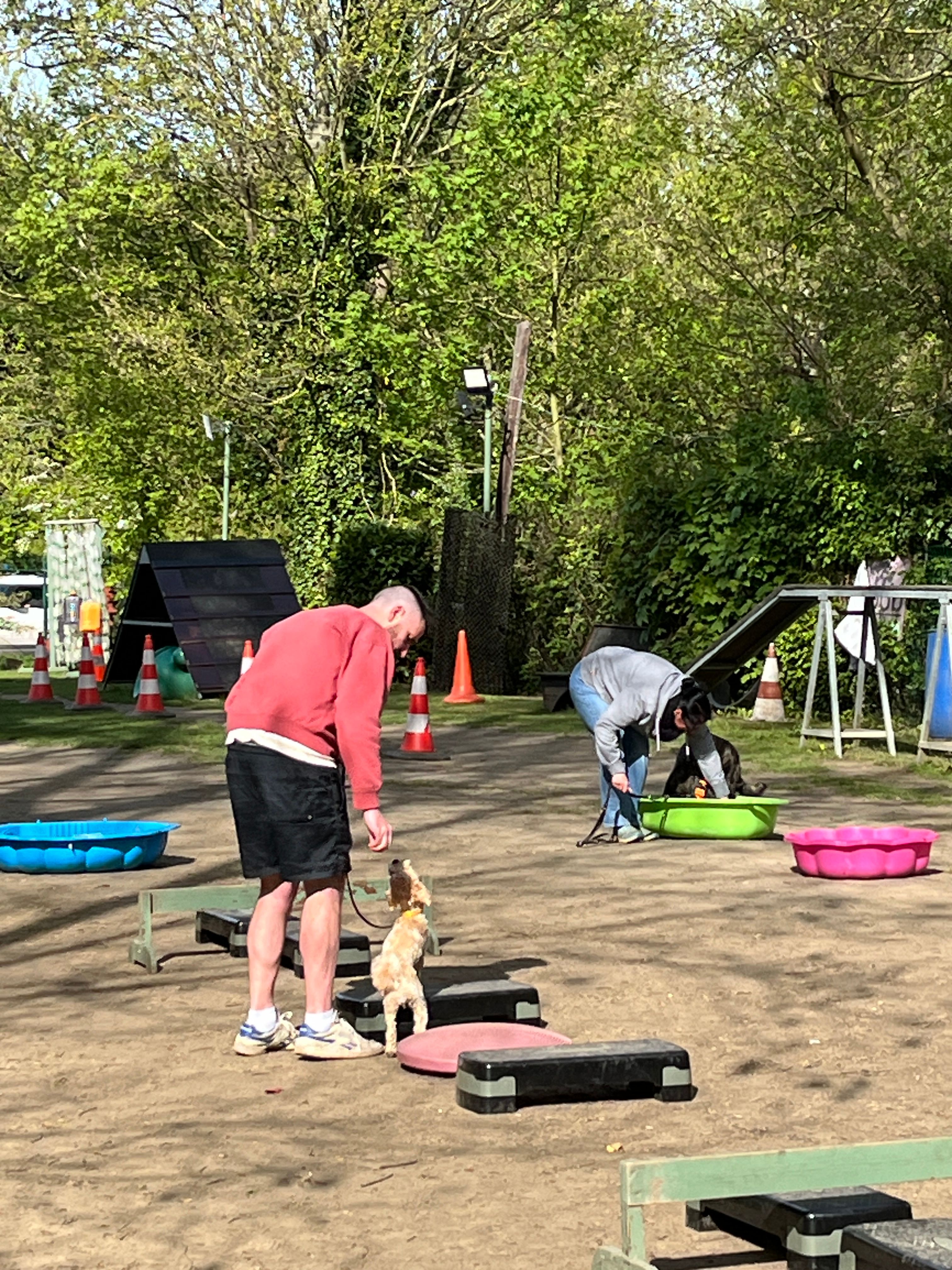 image-13