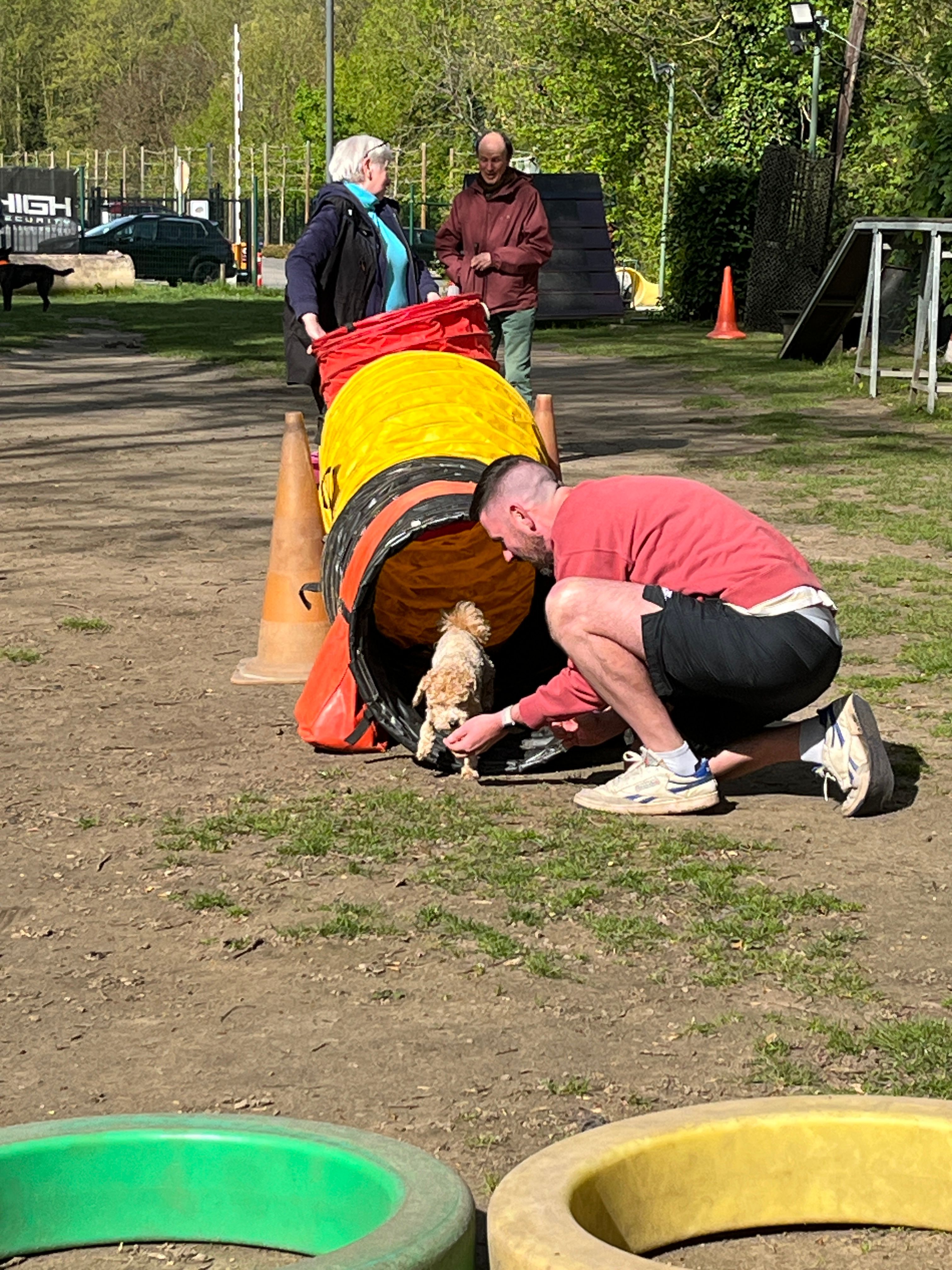 image-14